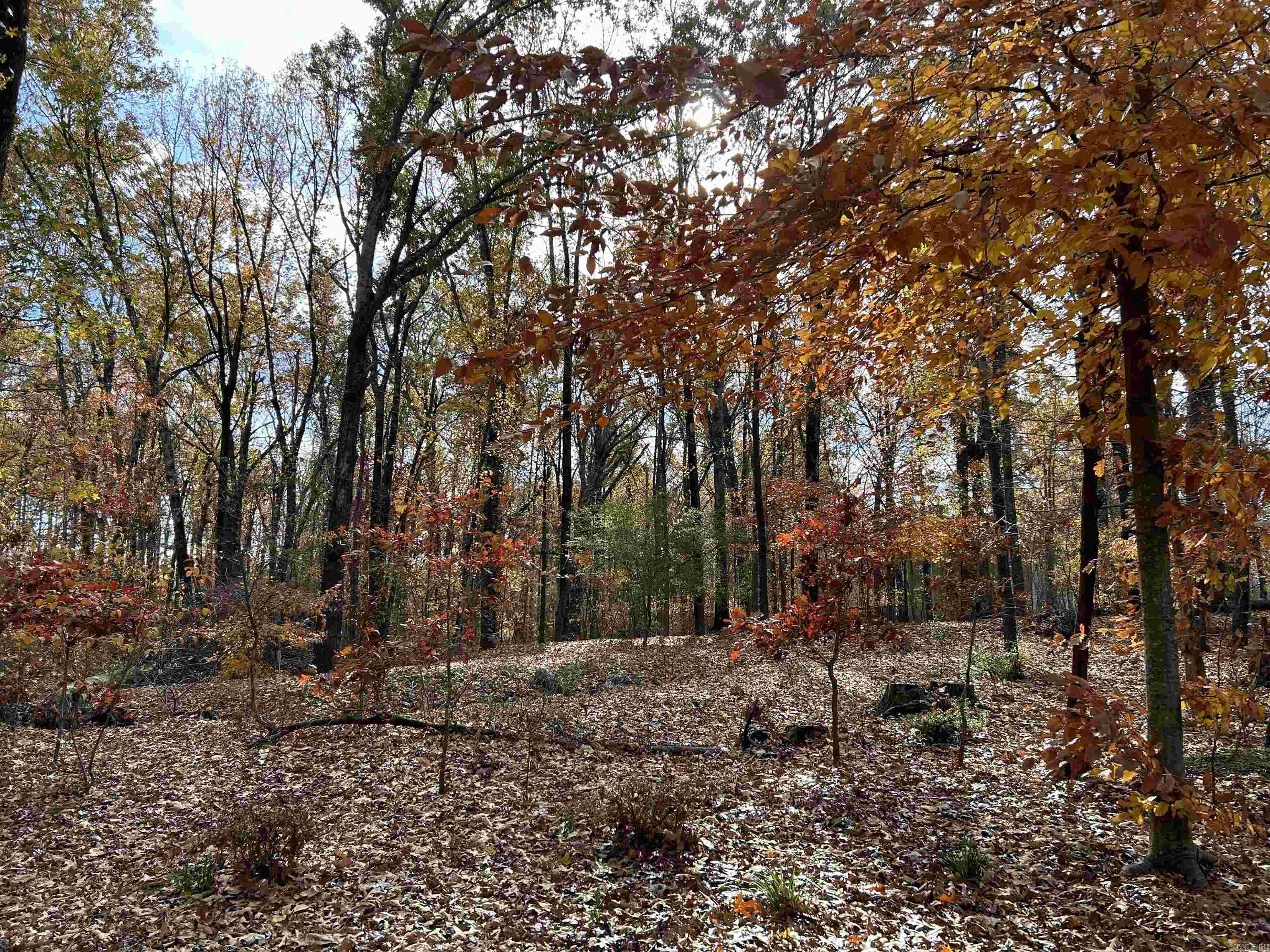County Rd 308 Property Photo 4