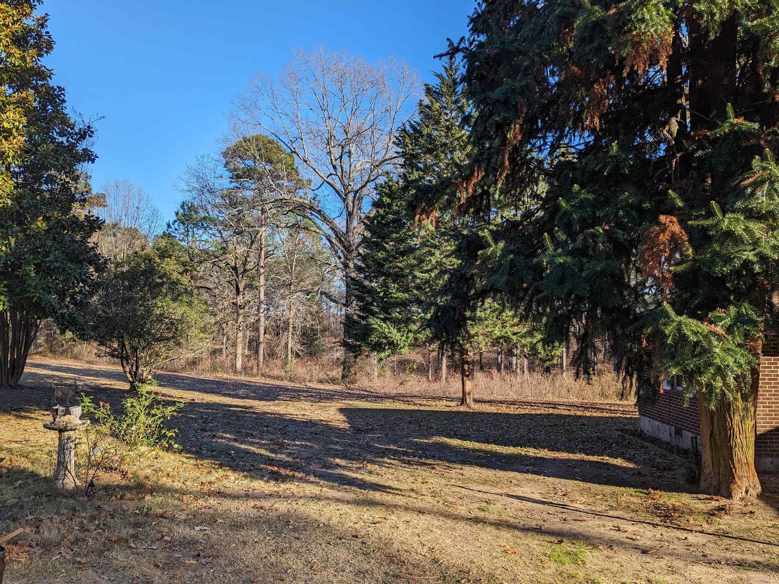 17221 Lanier Lane Property Photo 8