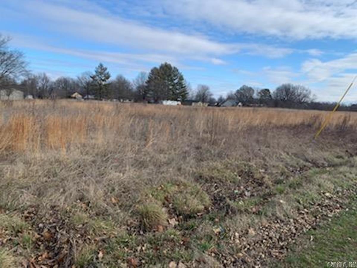 7 Acres Spargo Dr Property Photo 2