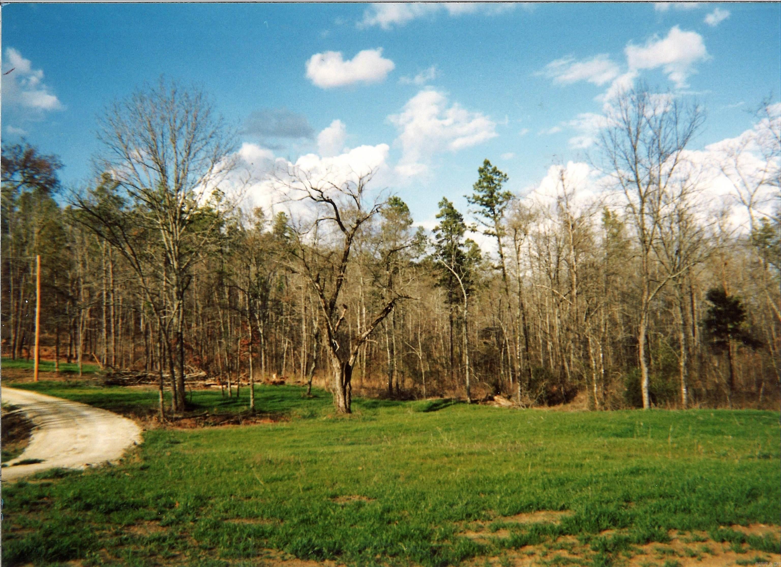 319 Salmon Lane Property Photo 43