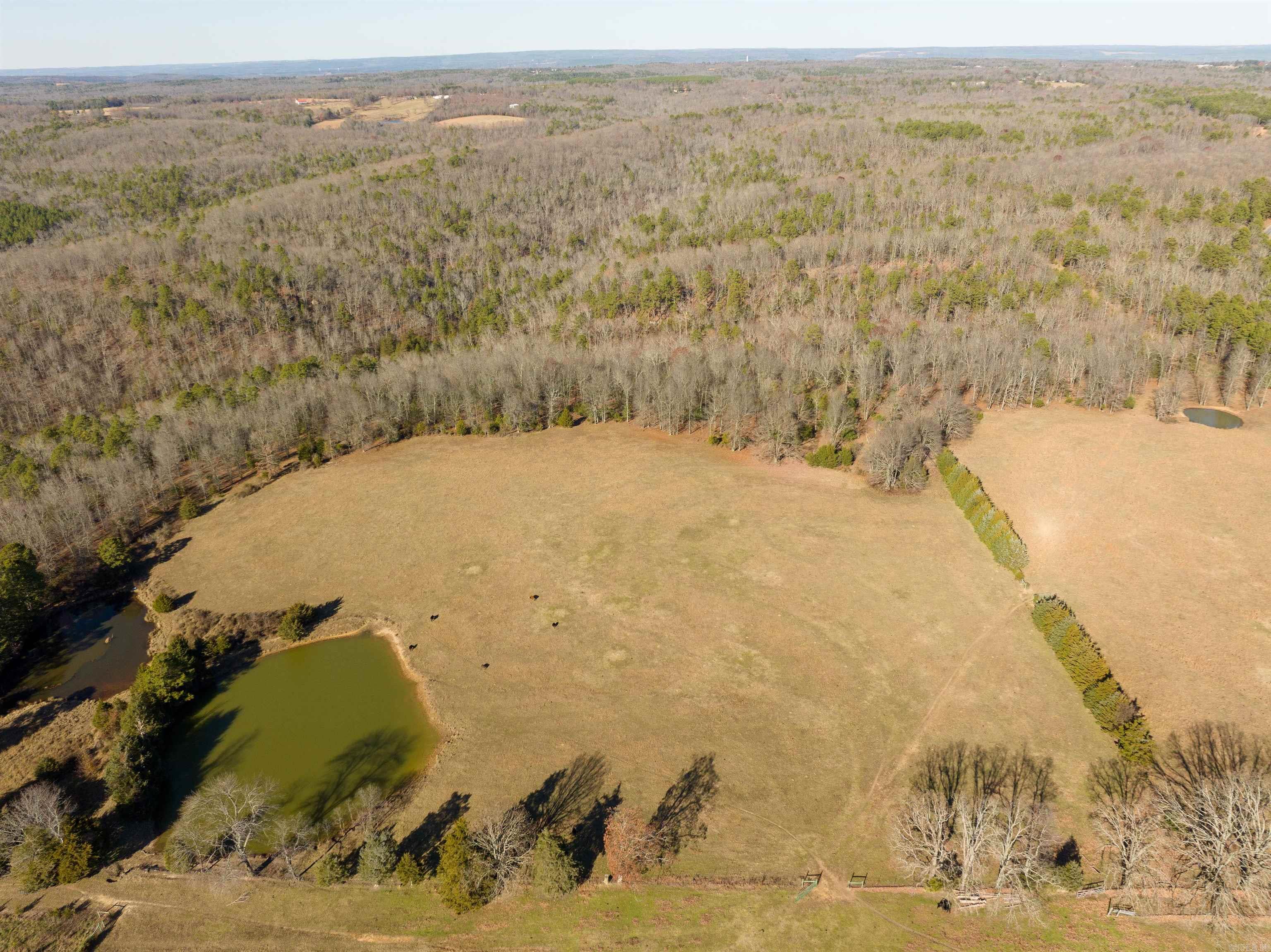 80 Acres Price Ford Road Property Photo 1