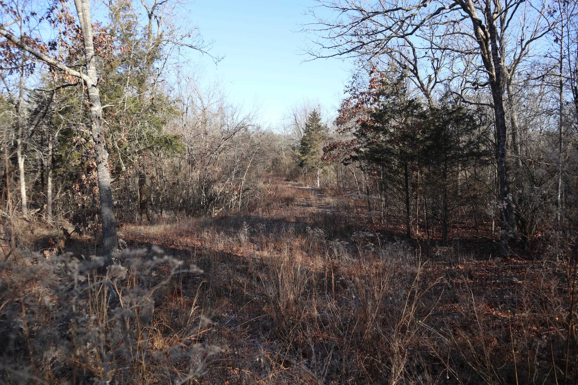 509 Spoon Dr Property Photo 8