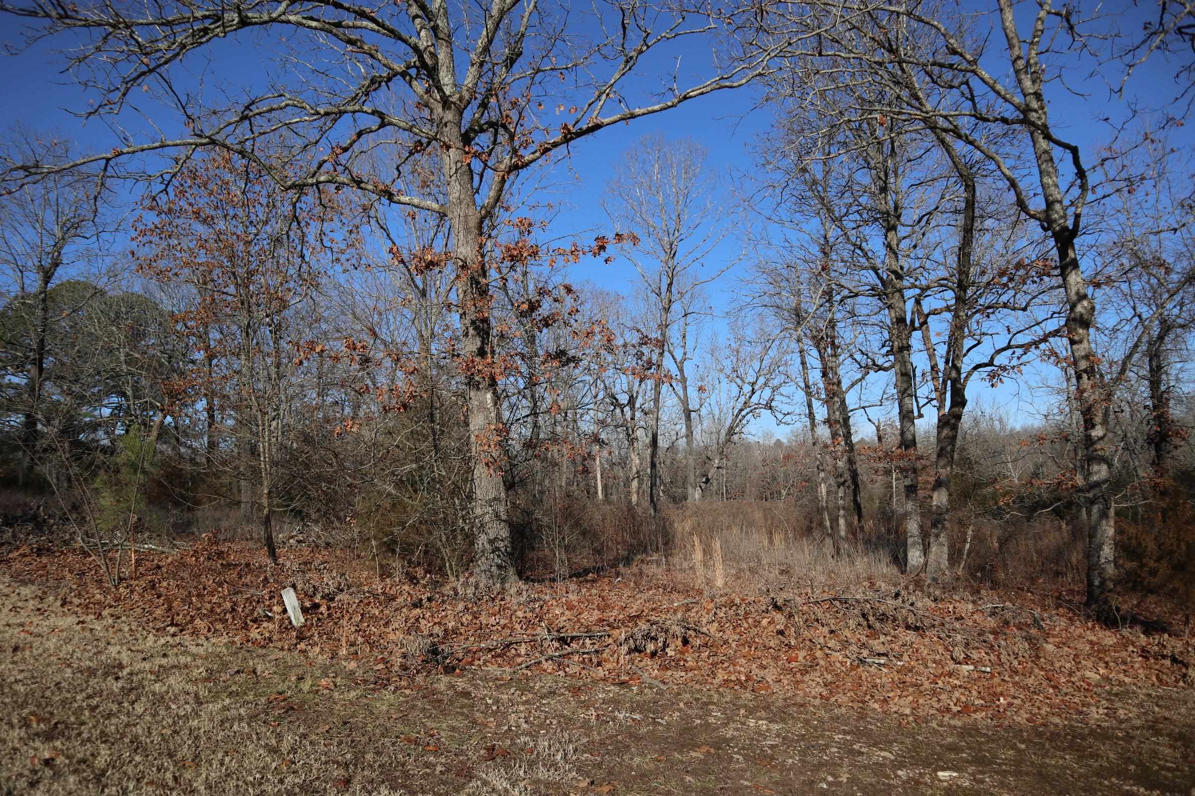 509 Spoon Dr Property Photo 11