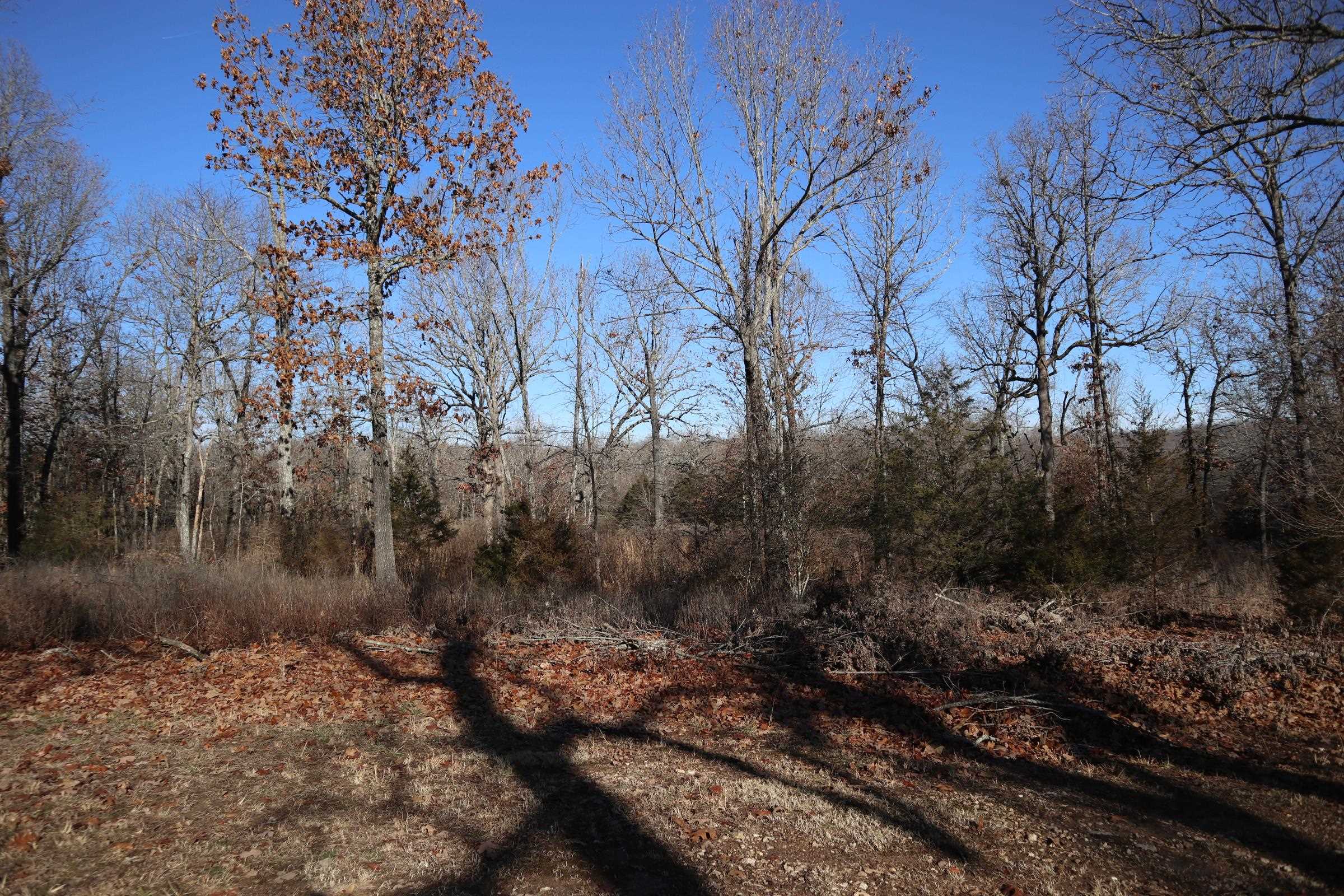 509 Spoon Dr Property Photo 12