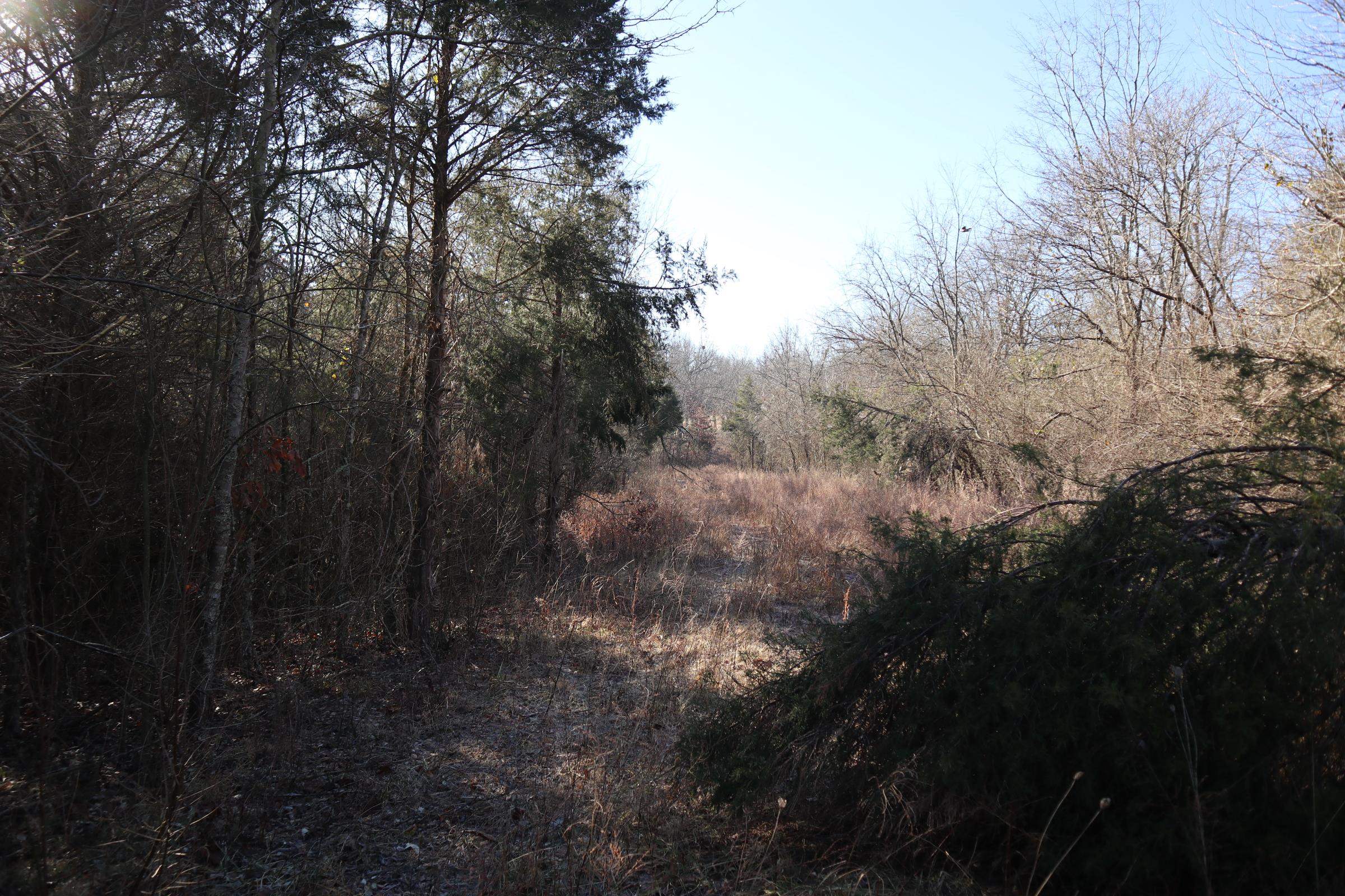 509 Spoon Dr Property Photo 13
