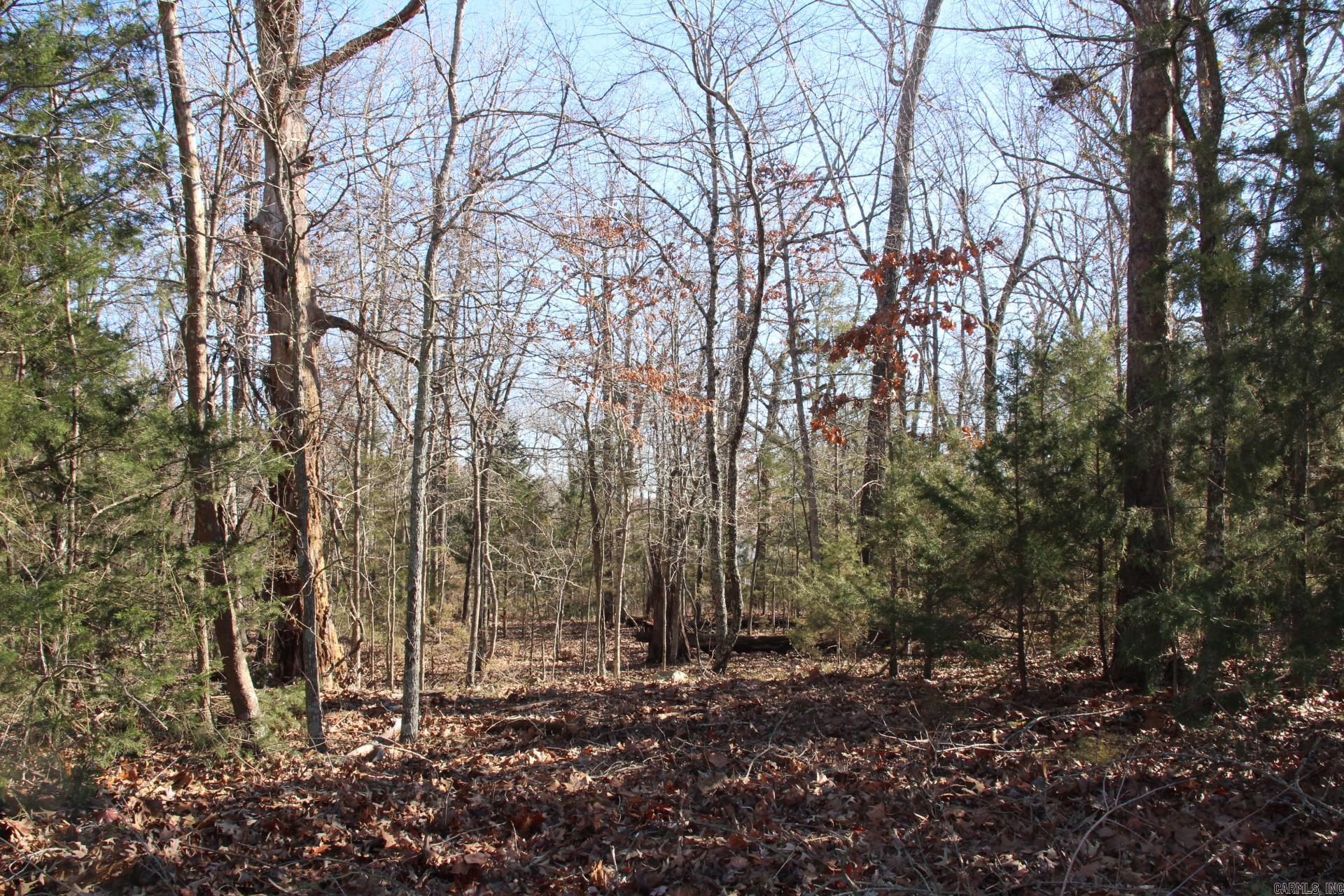 760-25375-000 Versailles Drive Property Photo 6