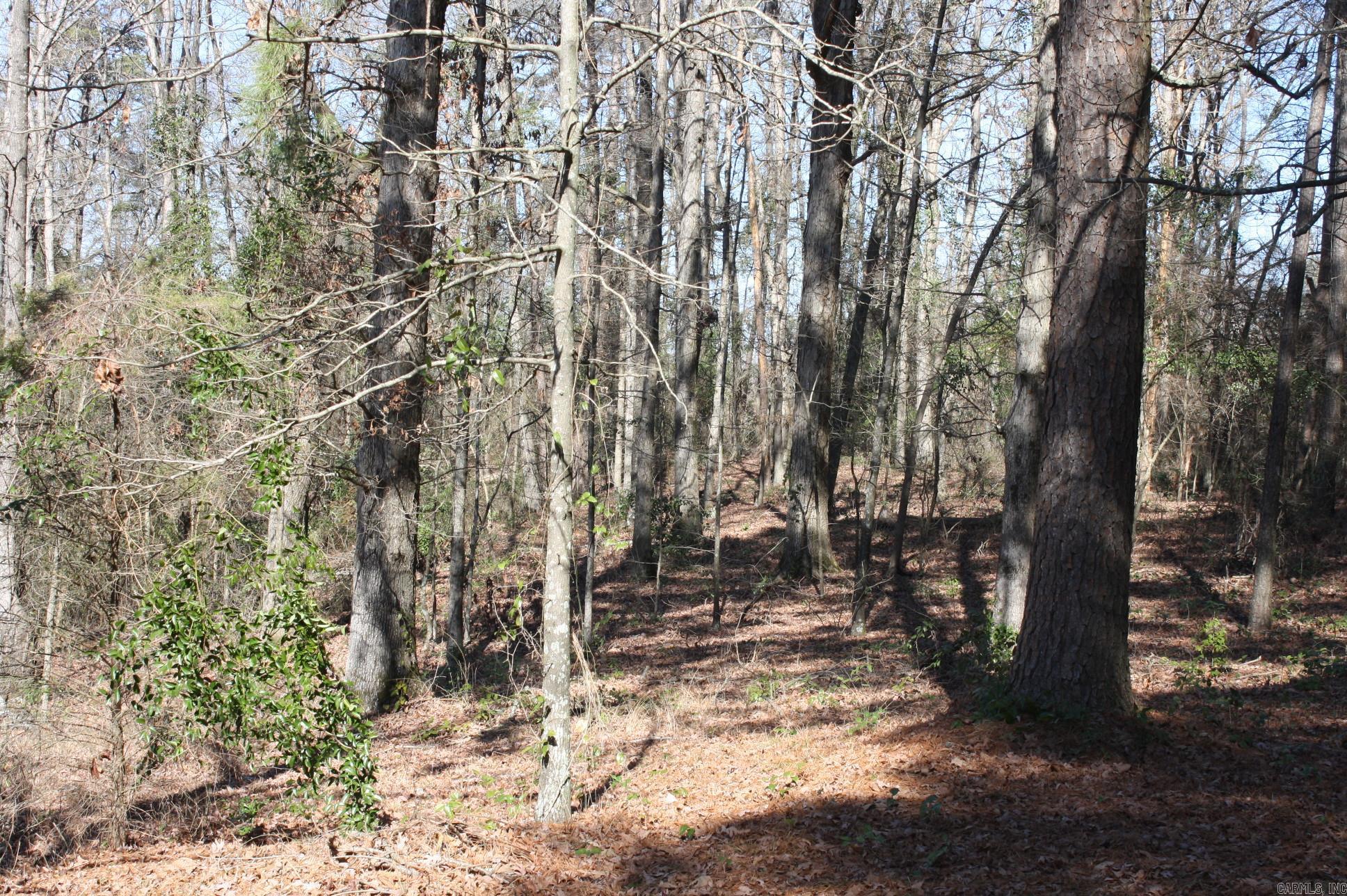 Fox Run Property Photo 3