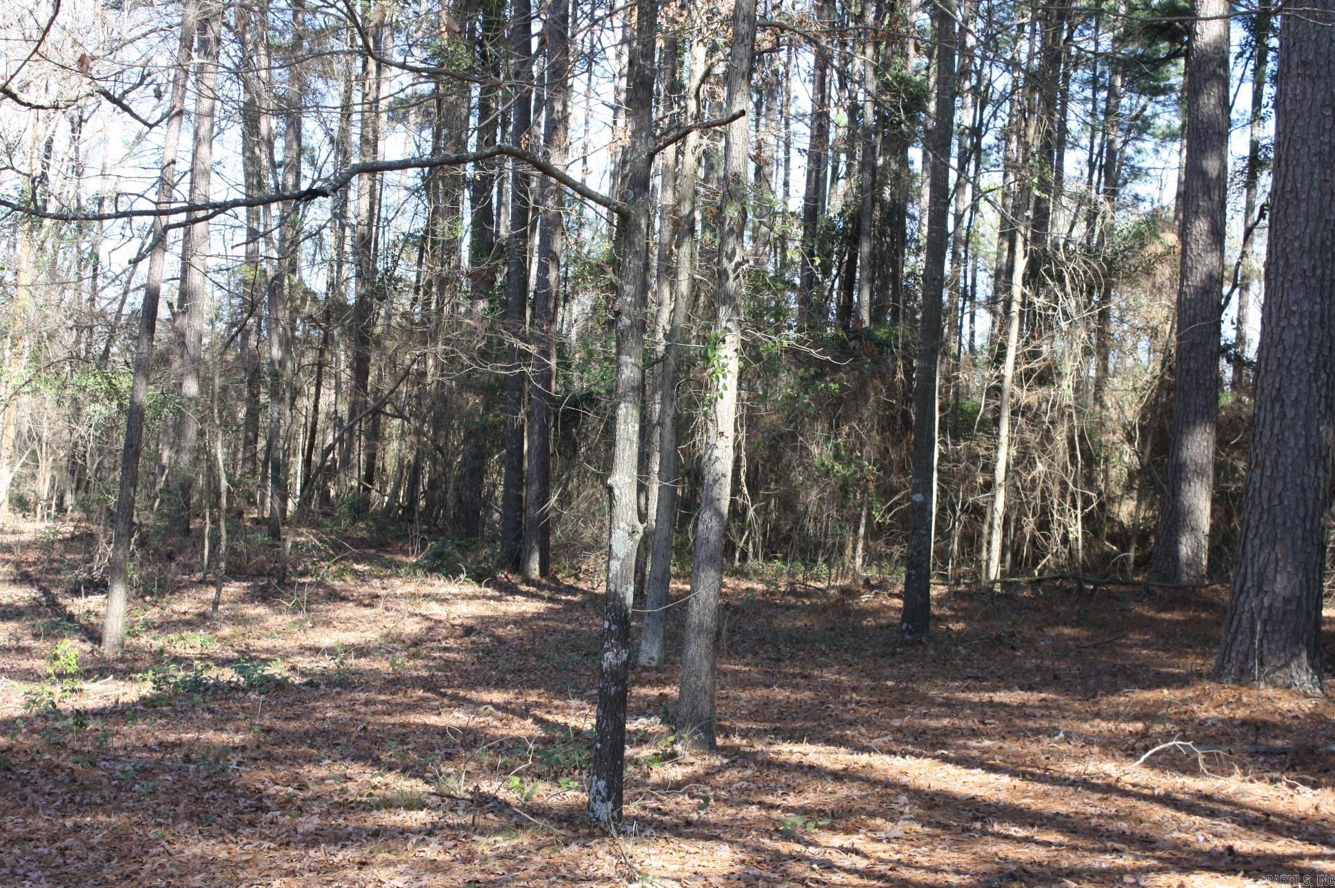 Fox Run Property Photo 4