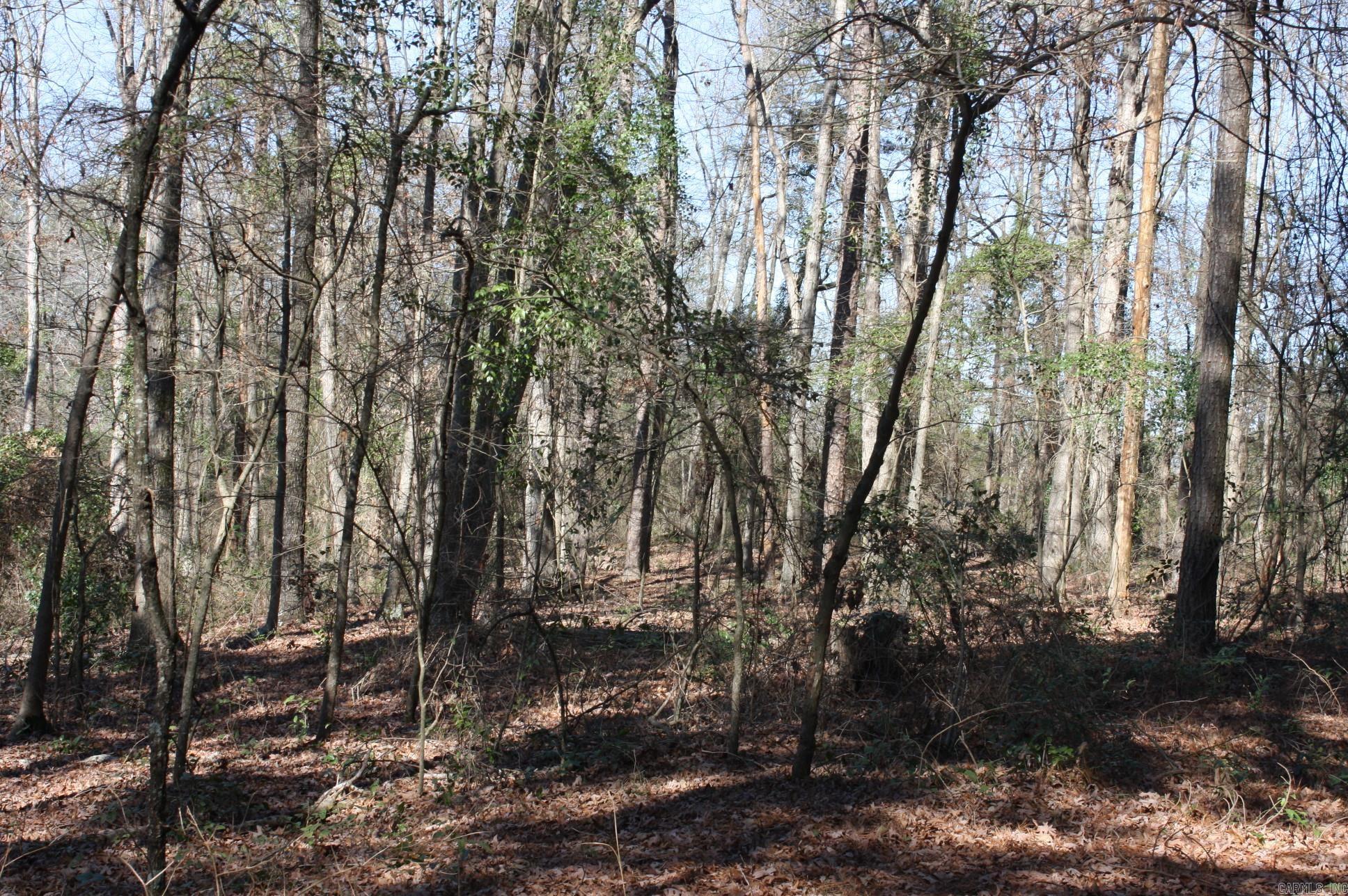 Fox Run Property Photo 5