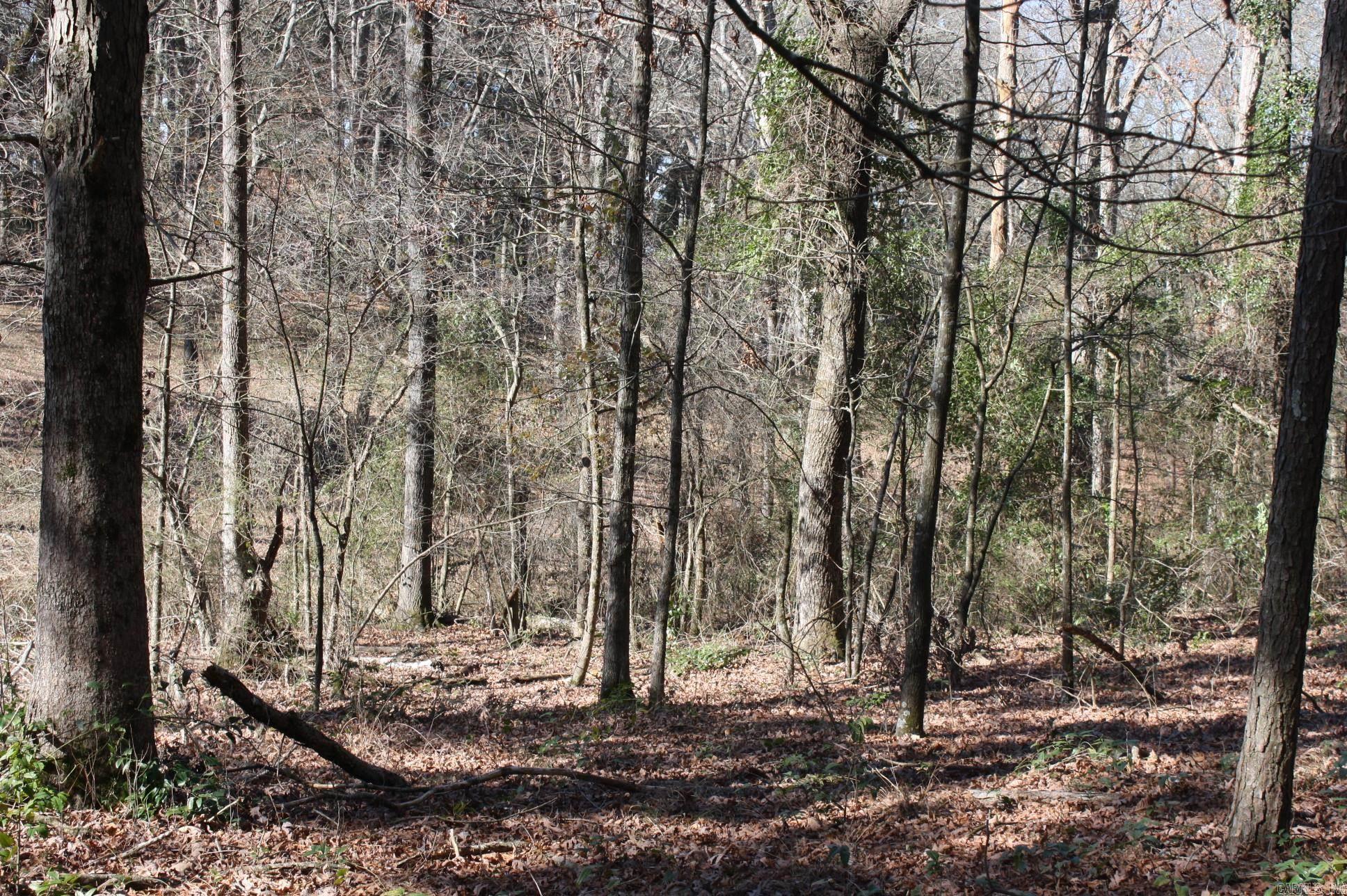 Fox Run Property Photo 6