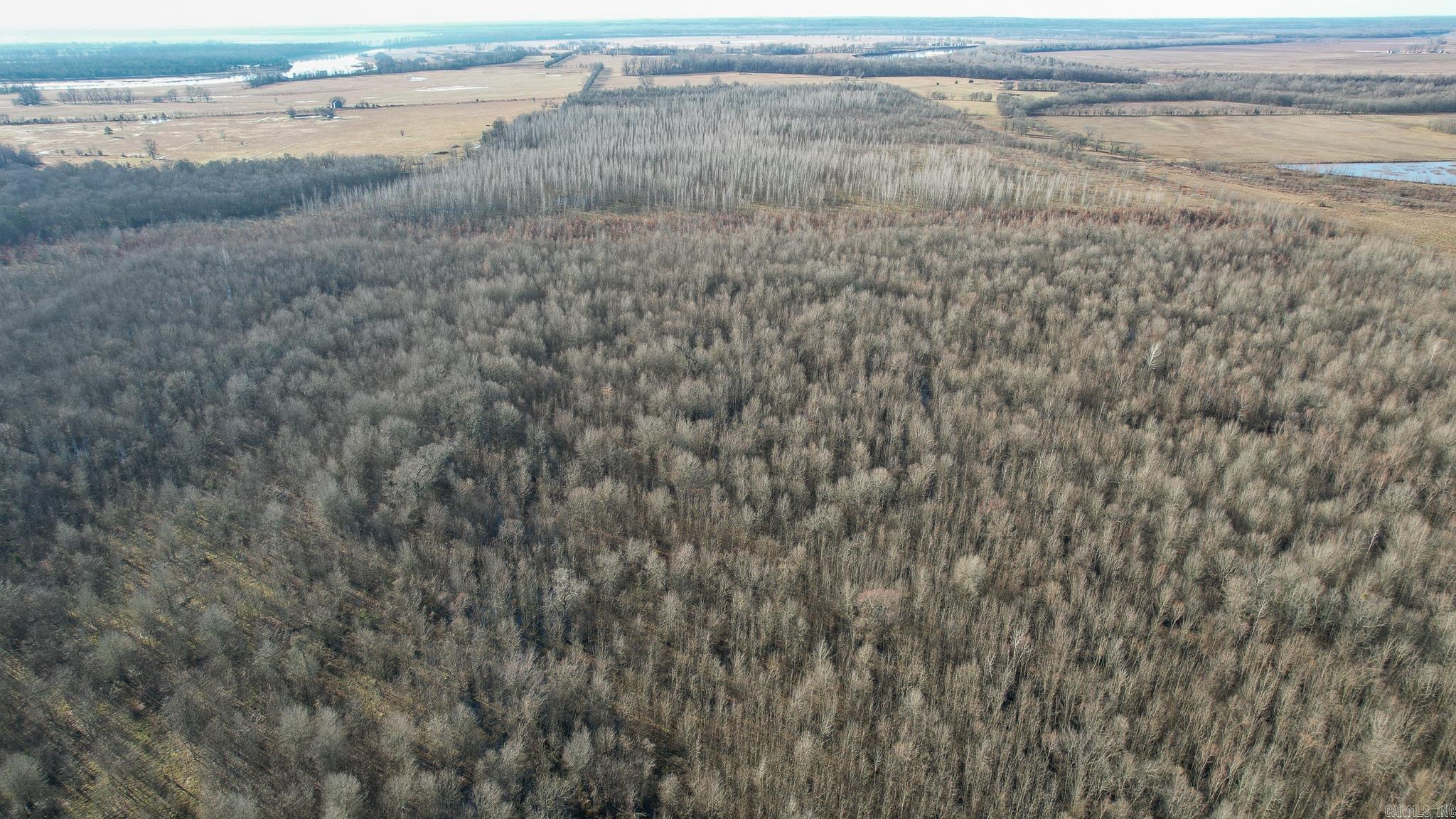 Tbd Little River 32 Property Photo 7