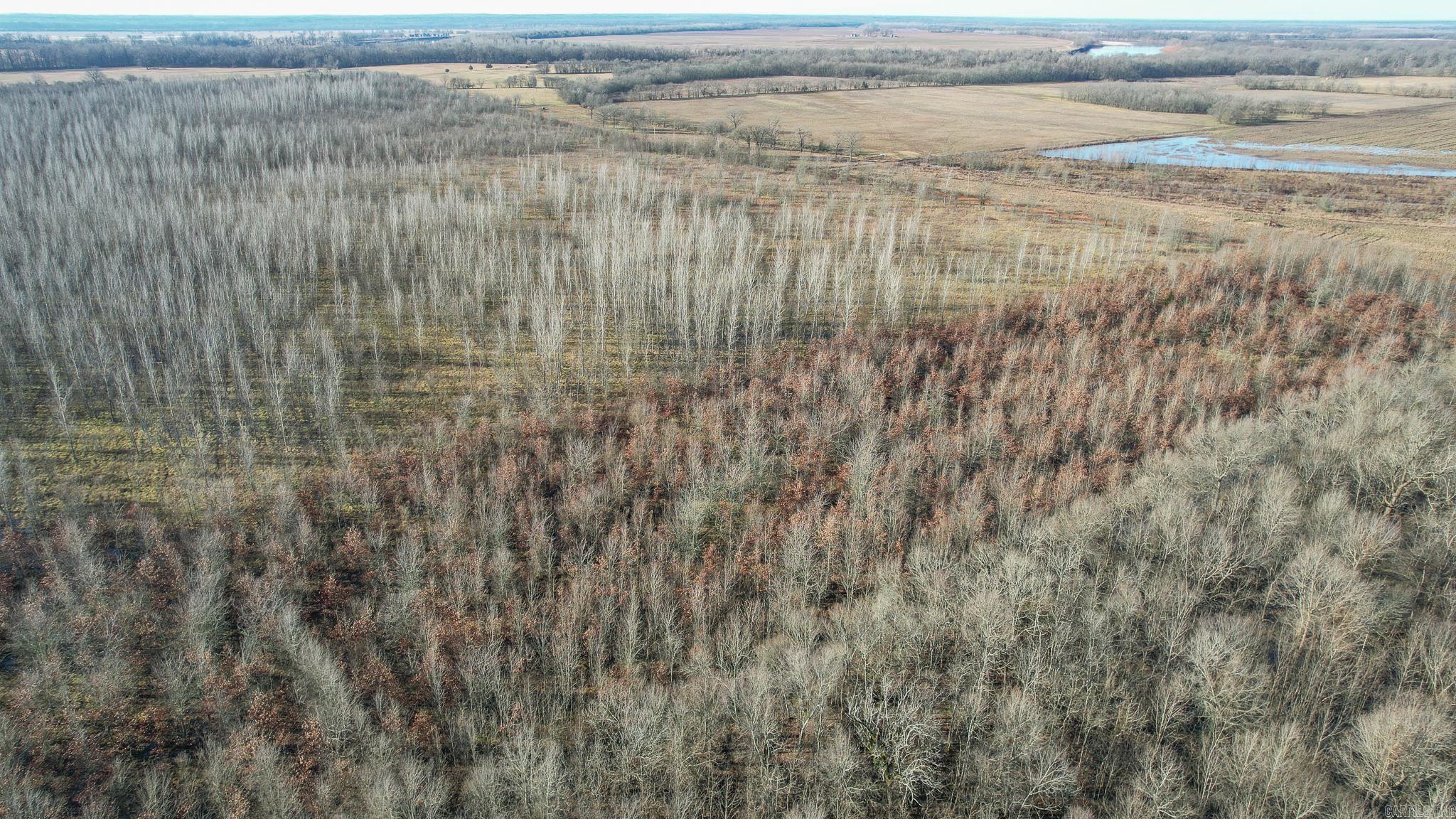 Tbd Little River 32 Property Photo 8