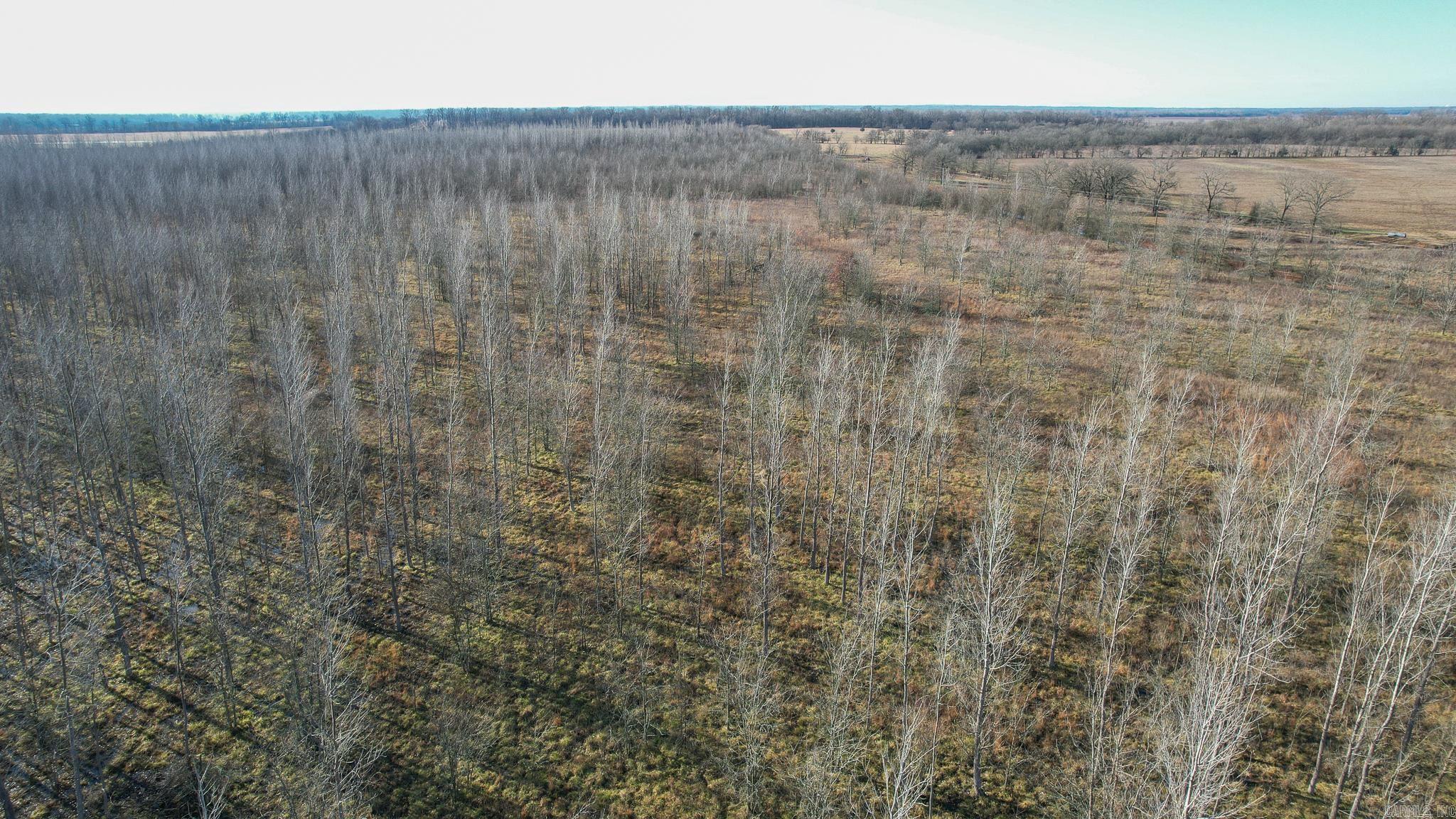 Tbd Little River 32 Property Photo 9