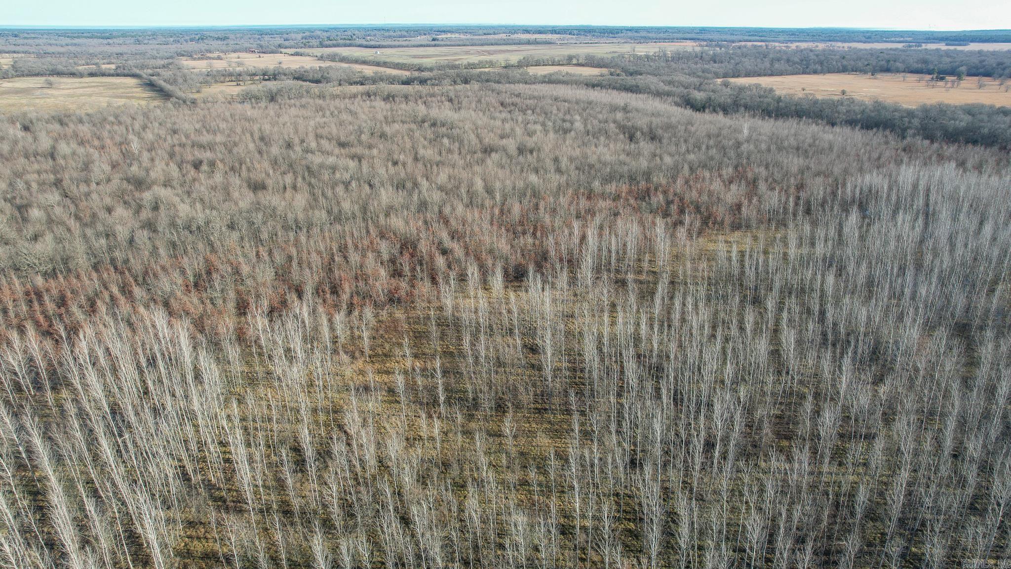 Tbd Little River 32 Property Photo 12