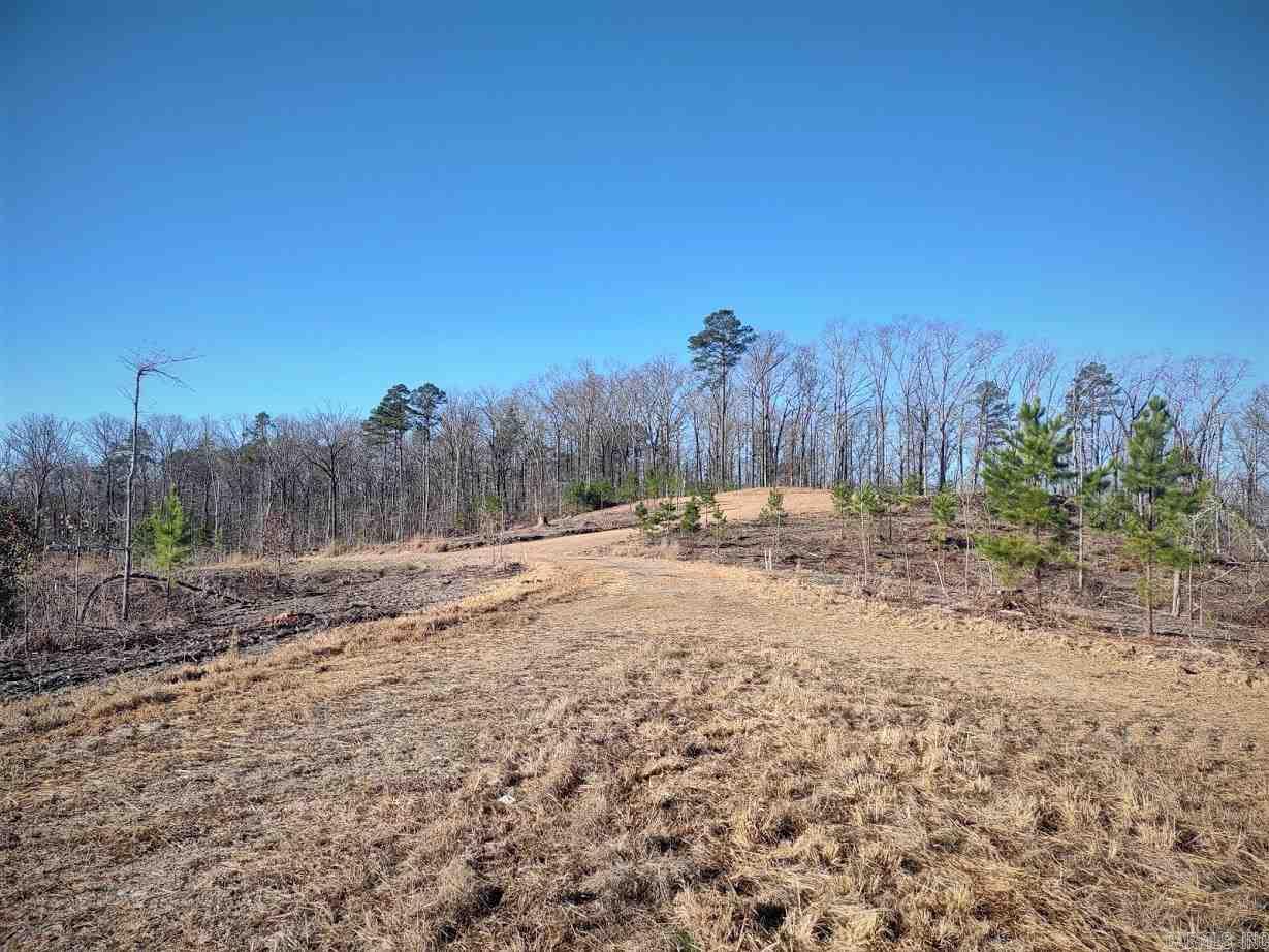 Lot 11 Shooting Star Property Photo 17