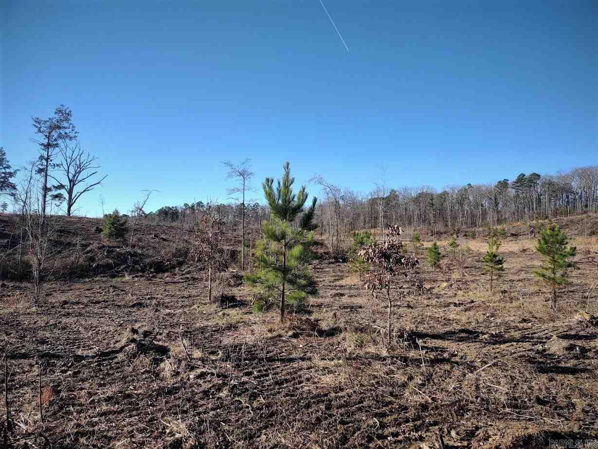 Lot 11 Shooting Star Property Photo 26