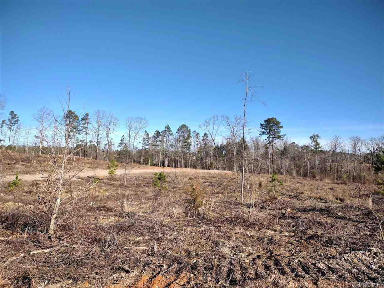 Lot 11 Shooting Star Property Photo 34