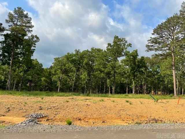 Orchard Hill Lot 31 Ph 3 Property Photo 1