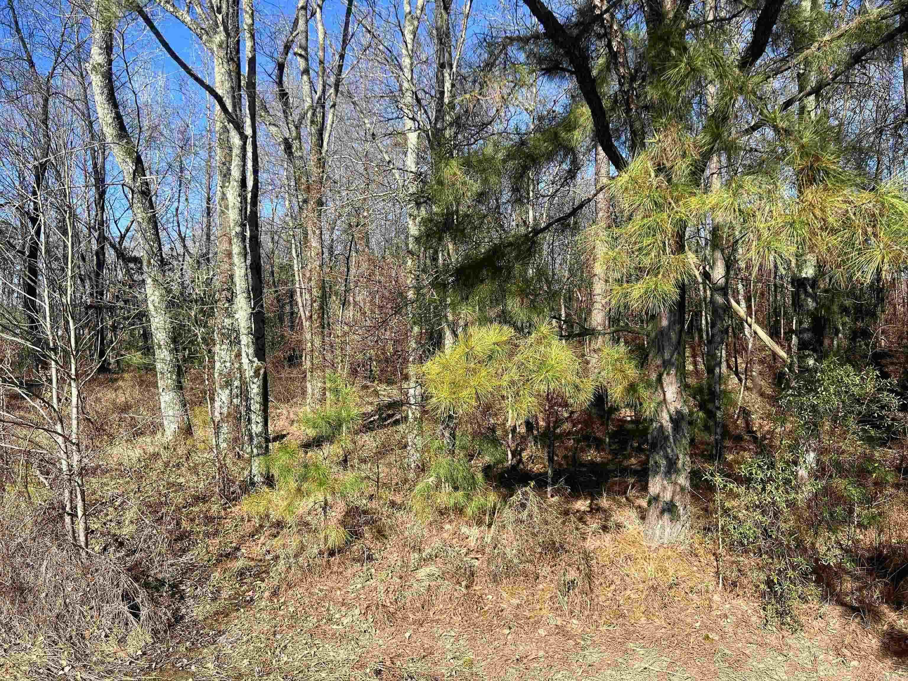 0 W 13th Property Photo 3