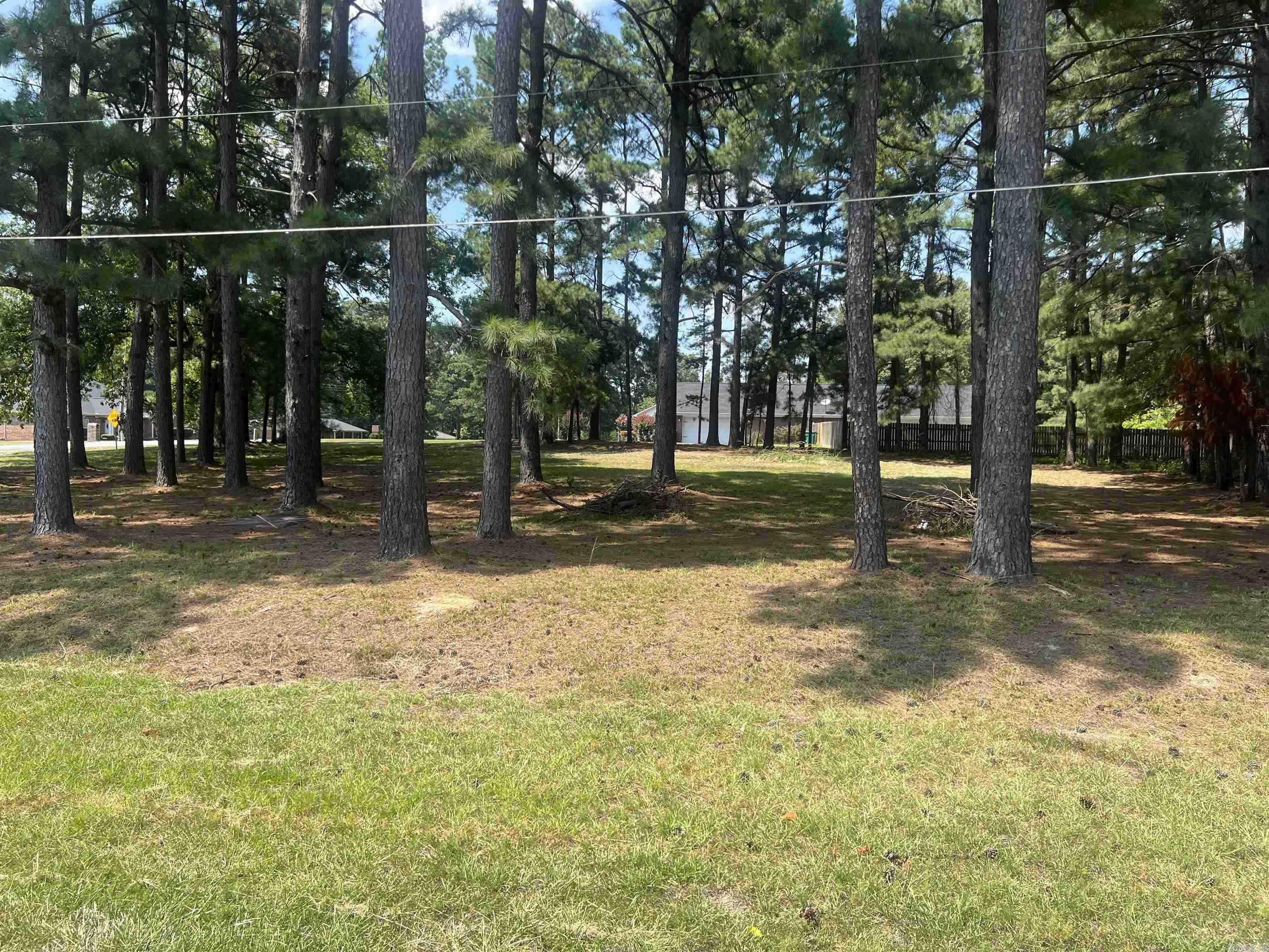0 Michael Ann Property Photo 4