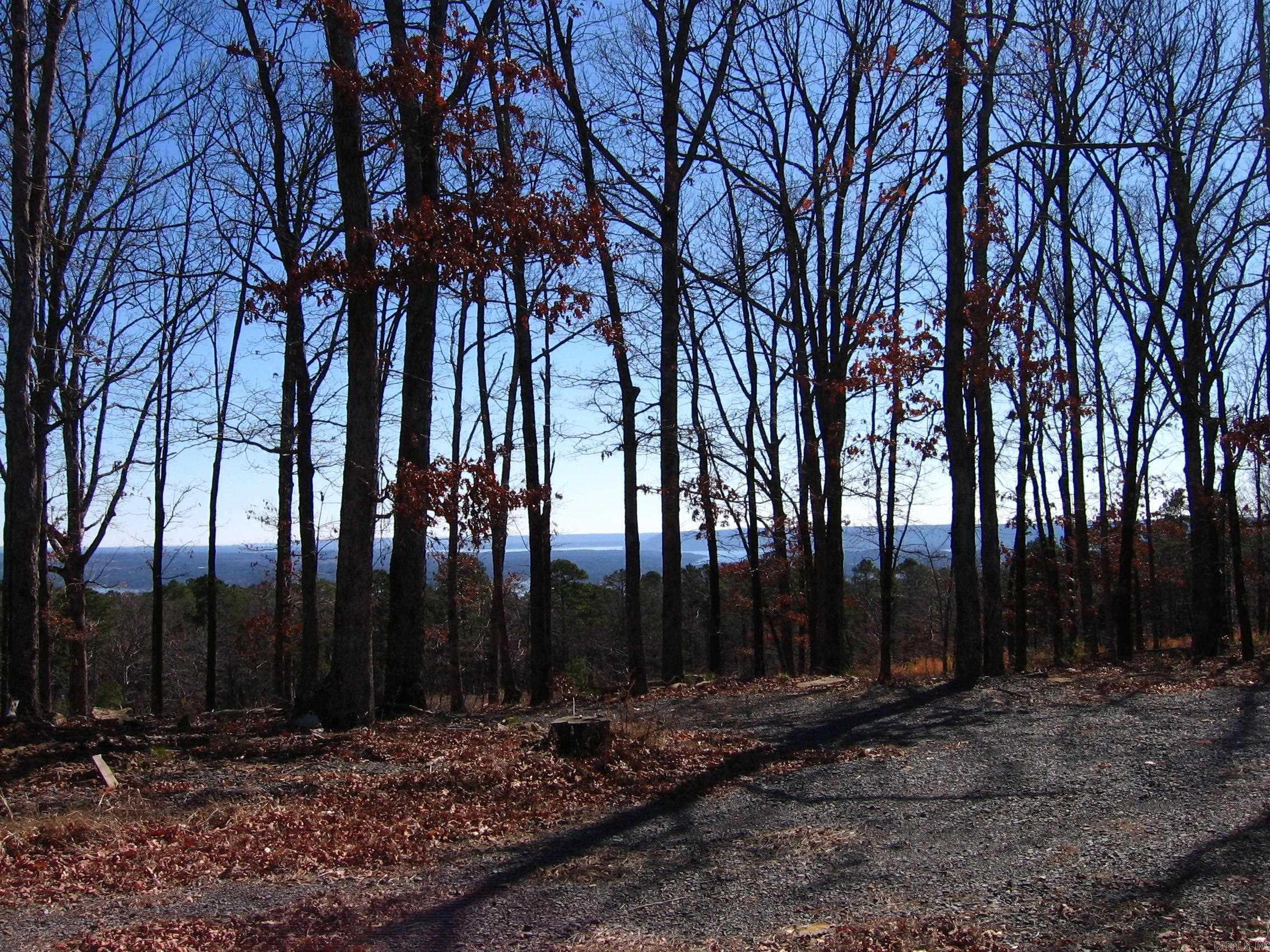 133 Osage Point Property Photo 5
