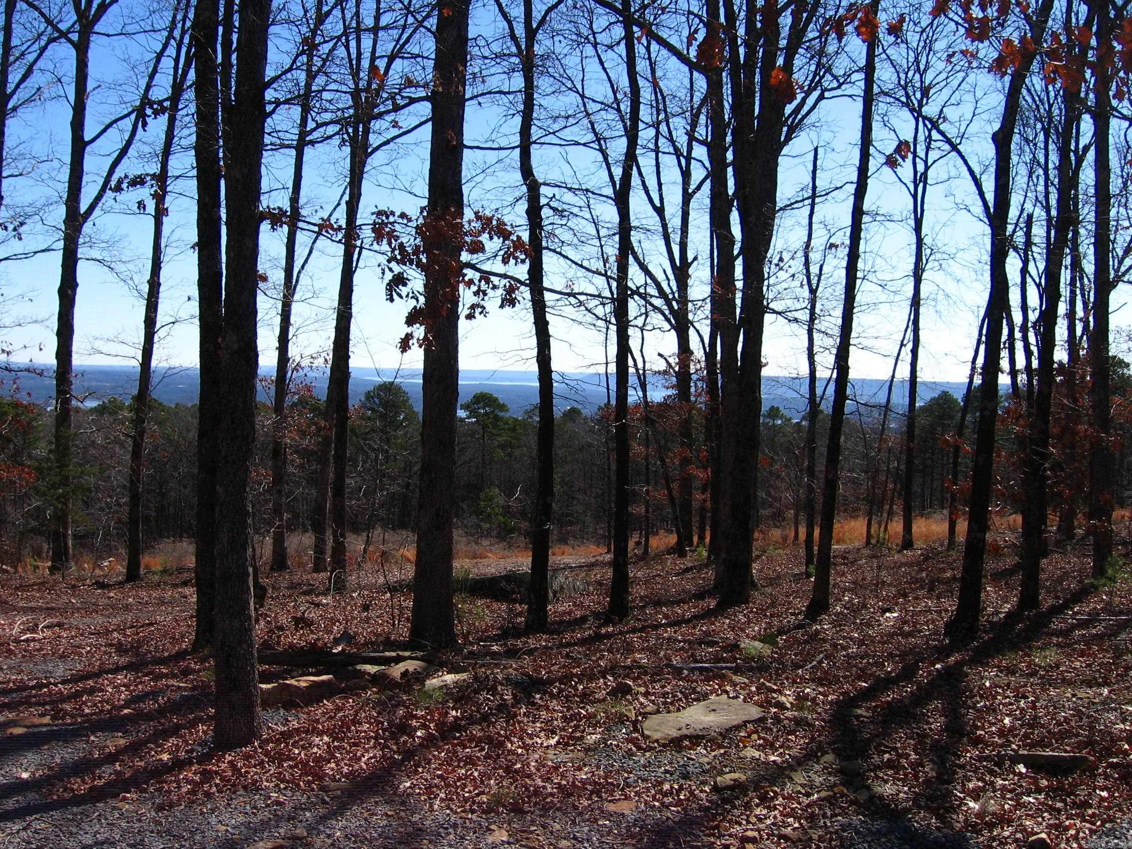 133 Osage Point Property Photo 7