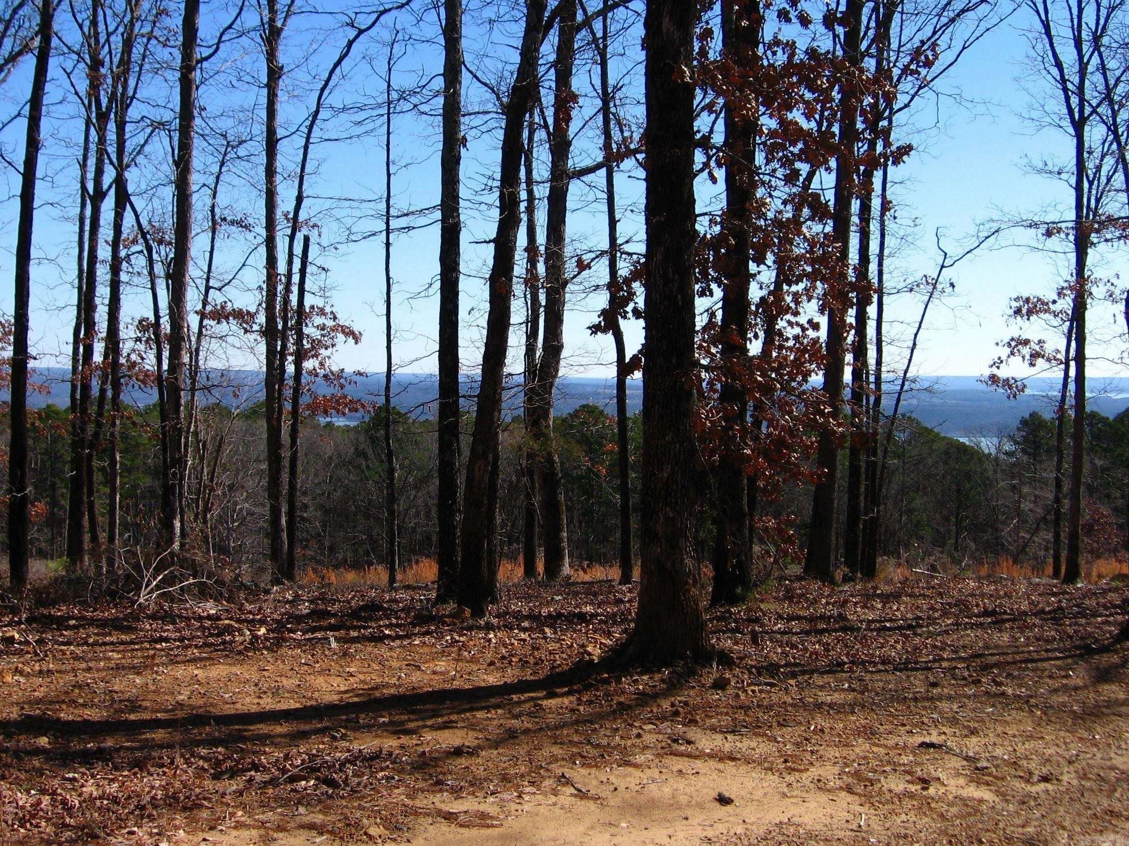 135 Osage Point Property Photo 3
