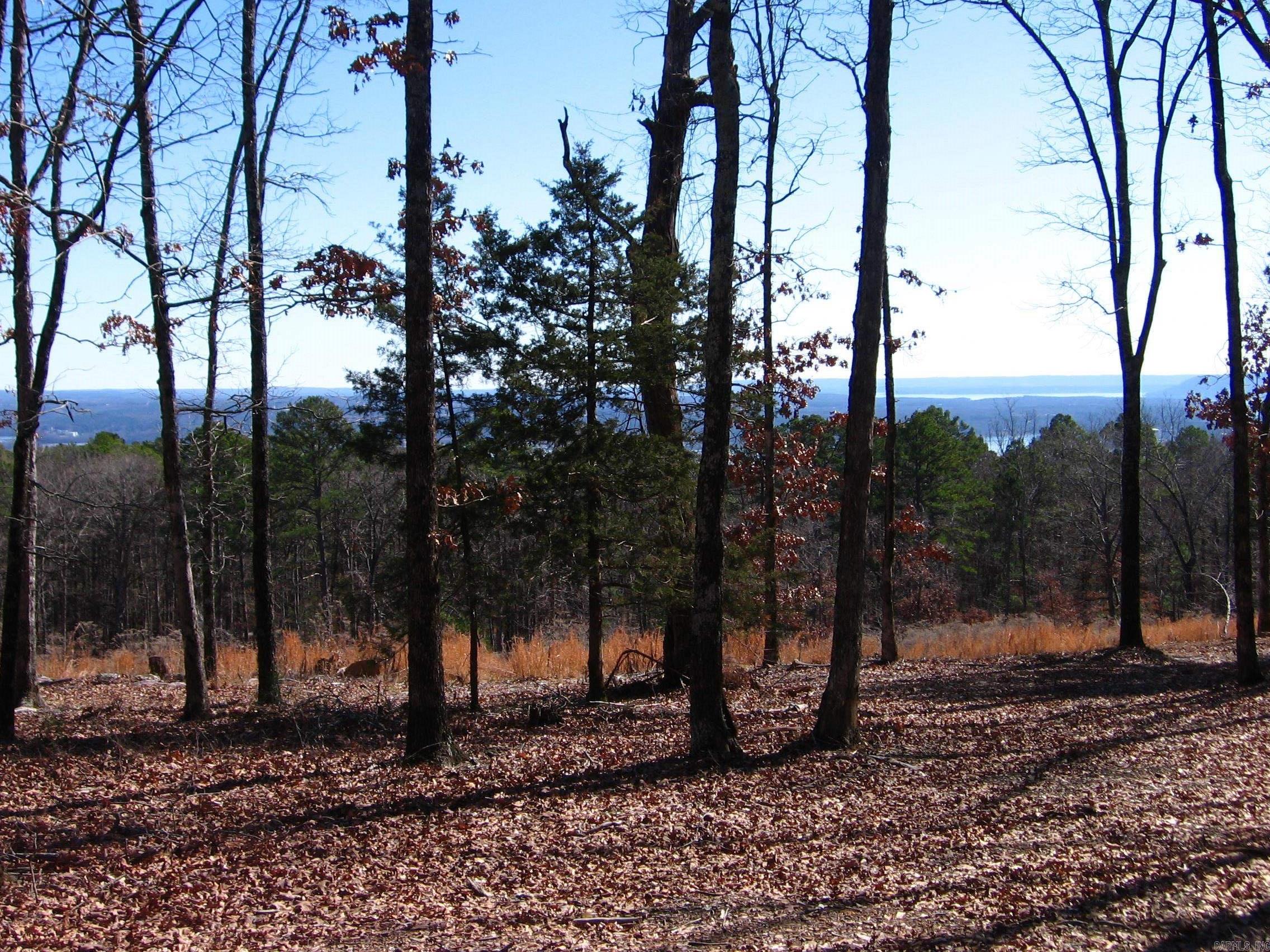 135 Osage Point Property Photo 4