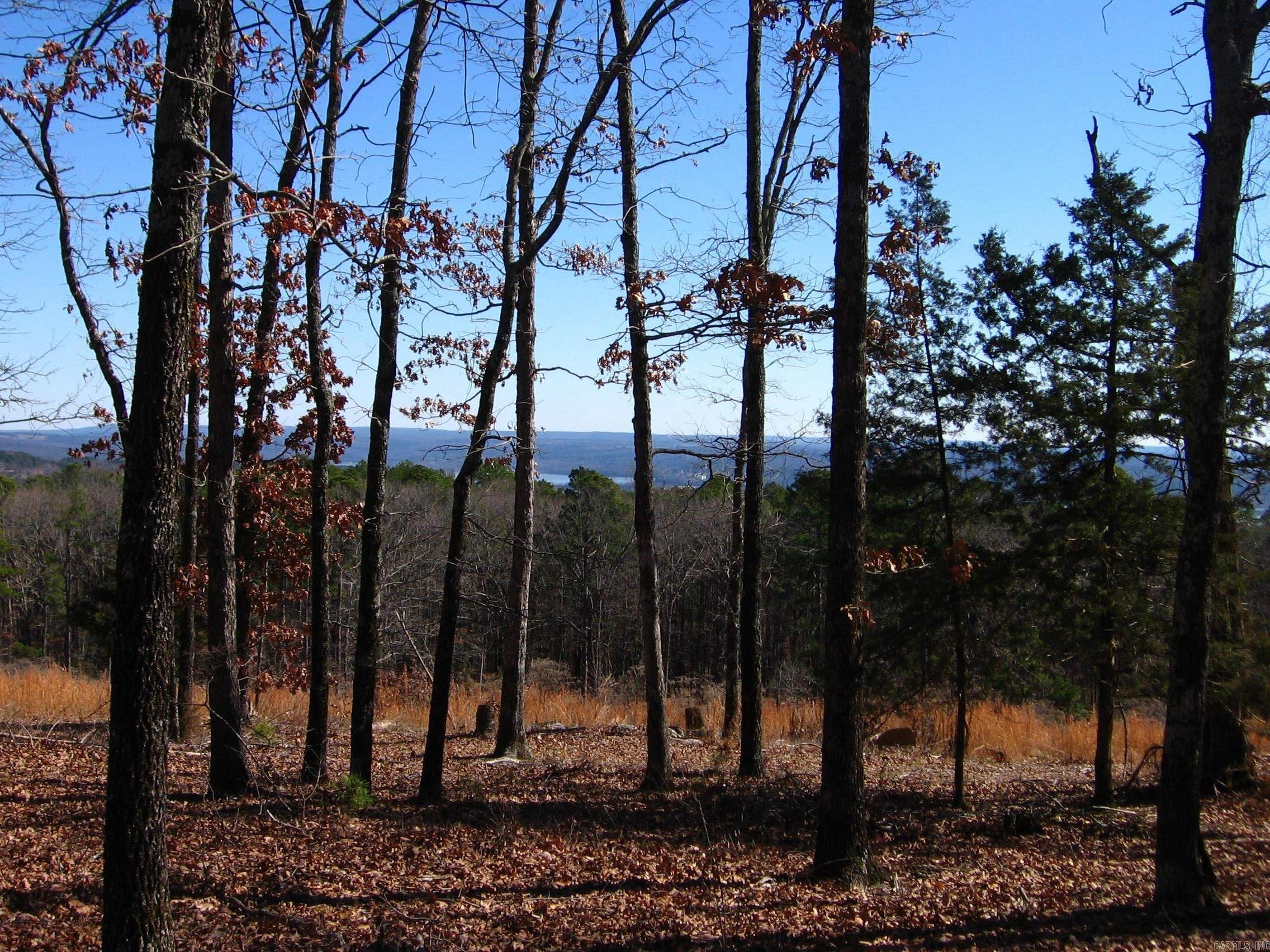 135 Osage Point Property Photo 5