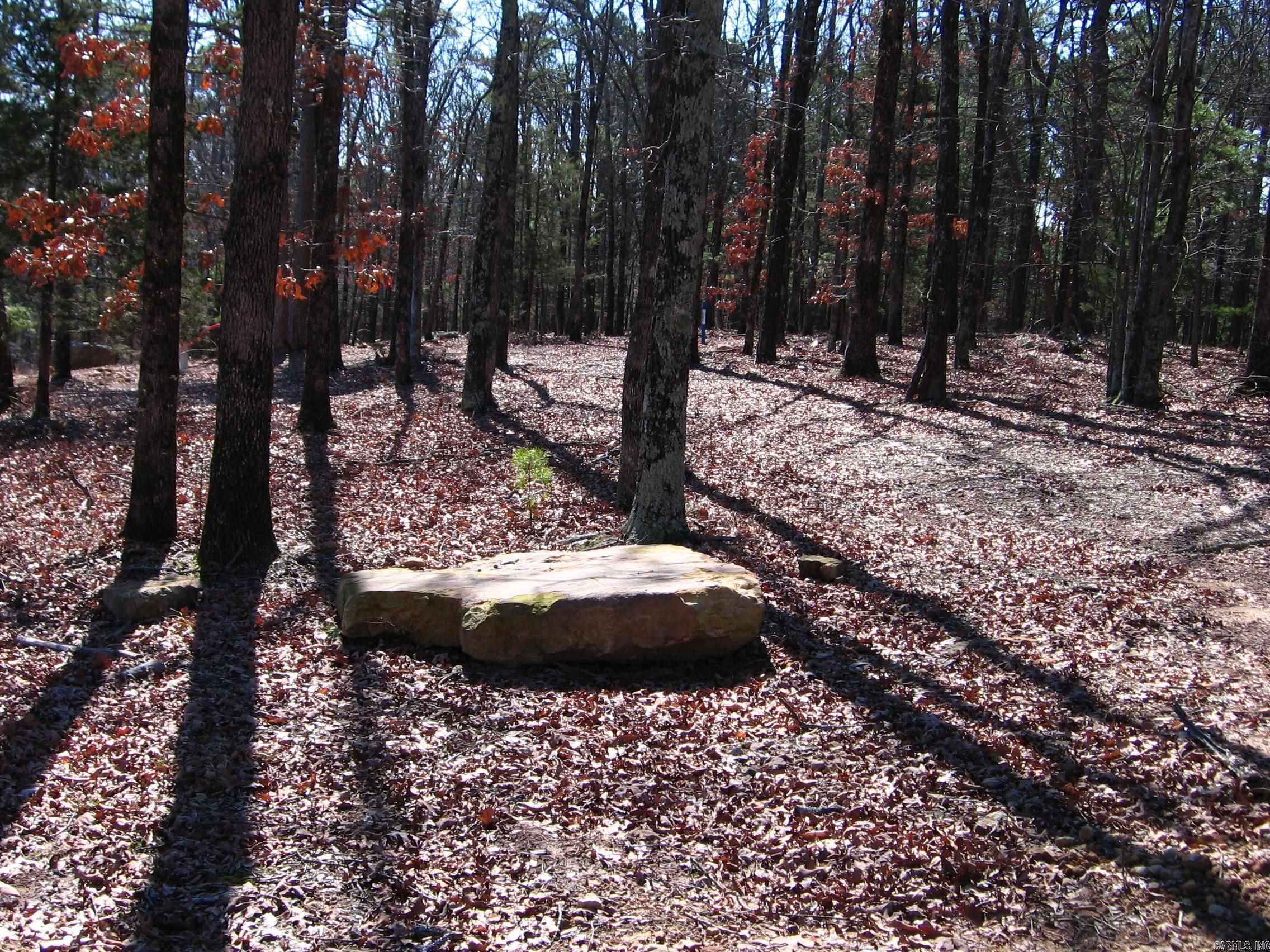 135 Osage Point Property Photo 6