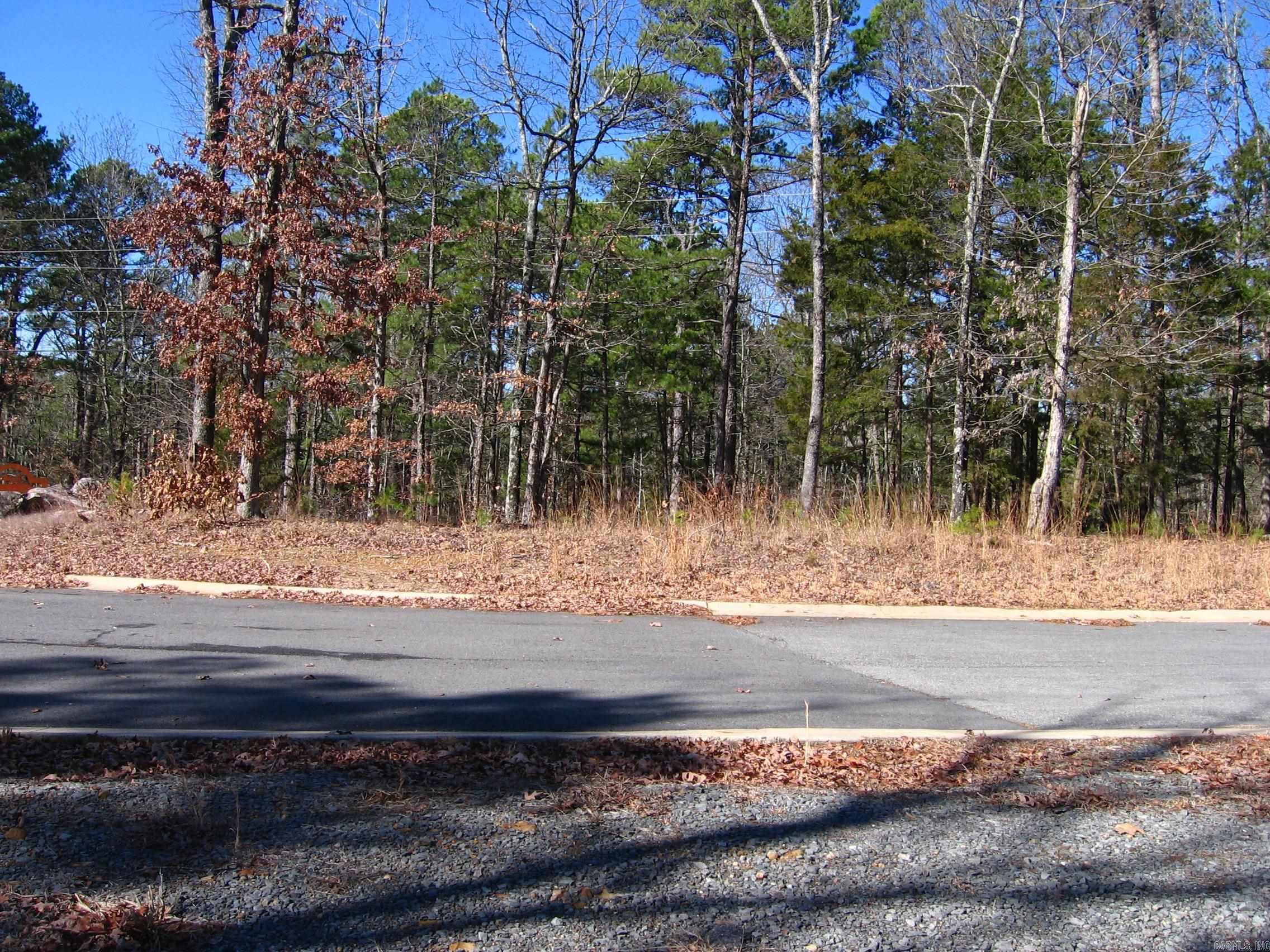 135 Osage Point Property Photo 7