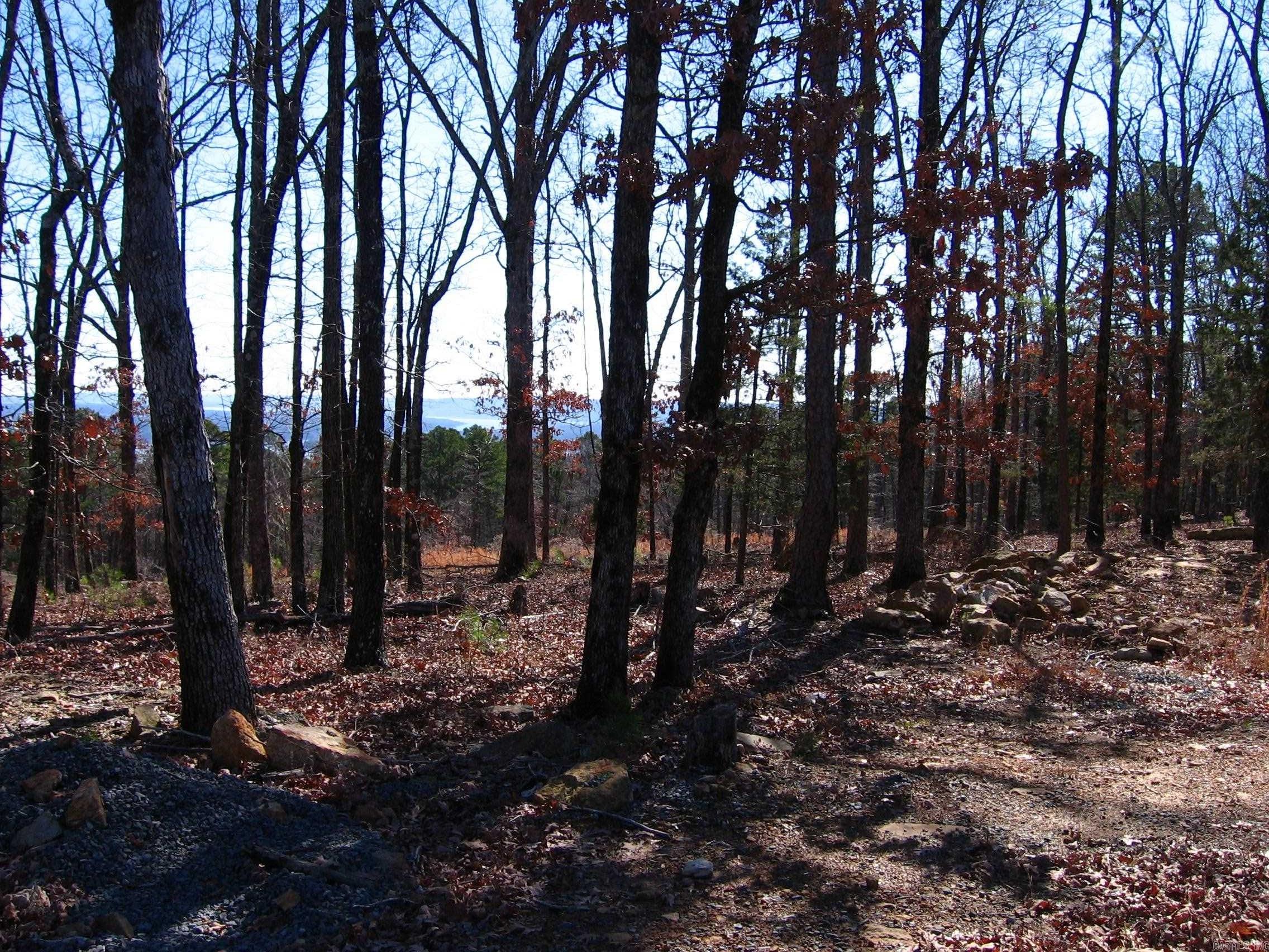 135 Osage Point Property Photo 8