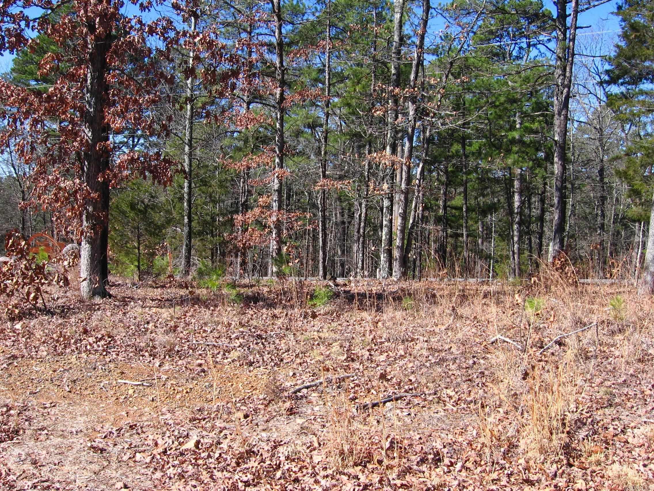135 Osage Point Property Photo 9