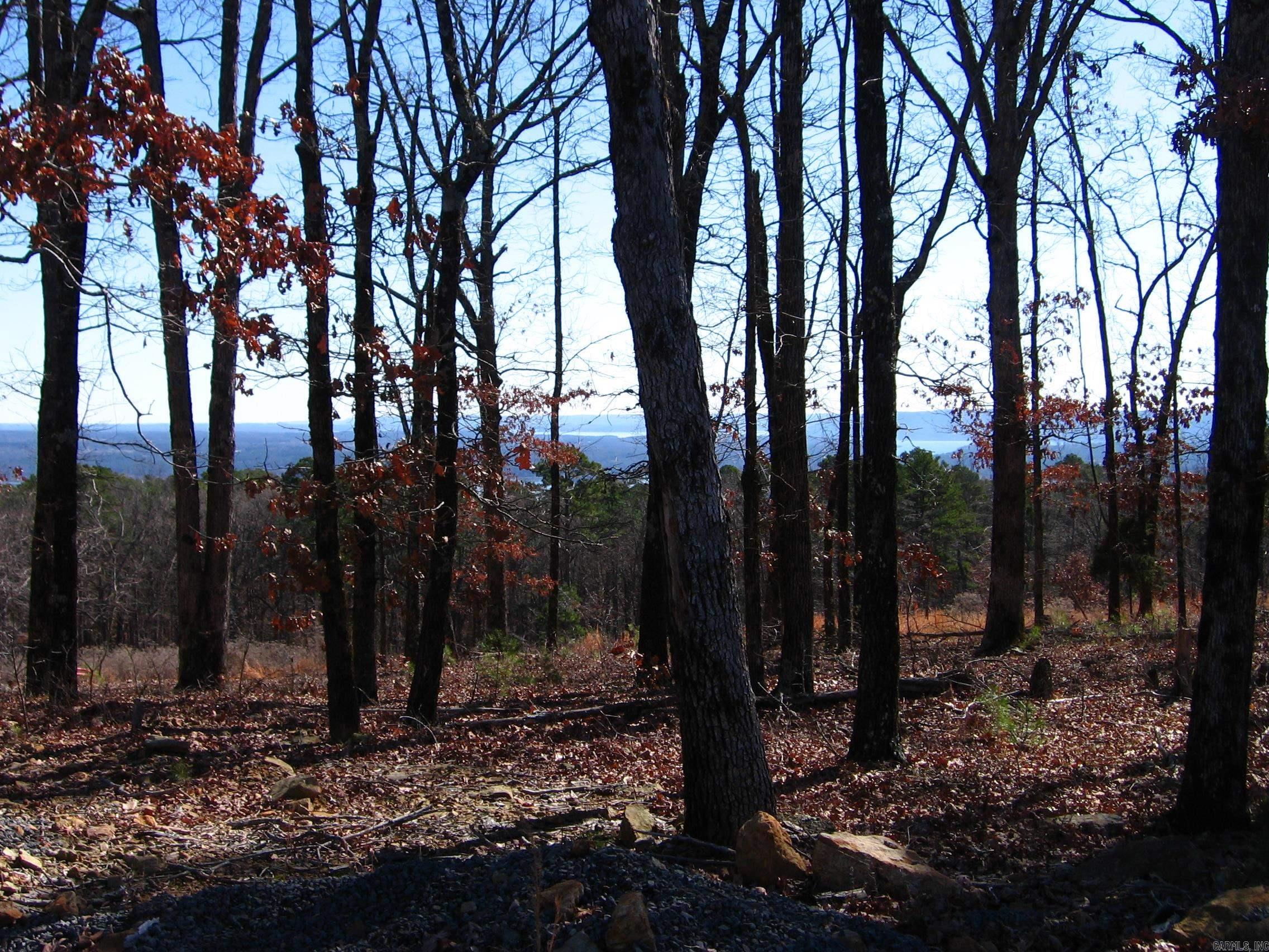 135 Osage Point Property Photo 10