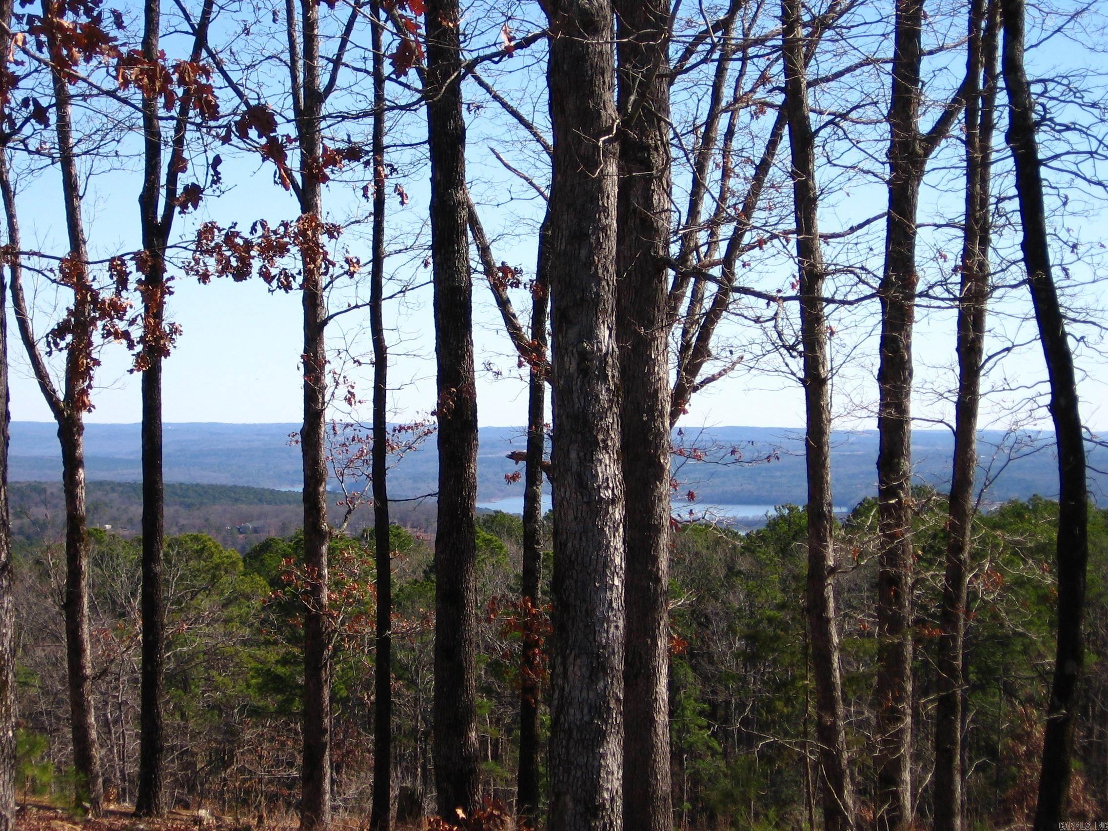 135 Osage Point Property Photo 11