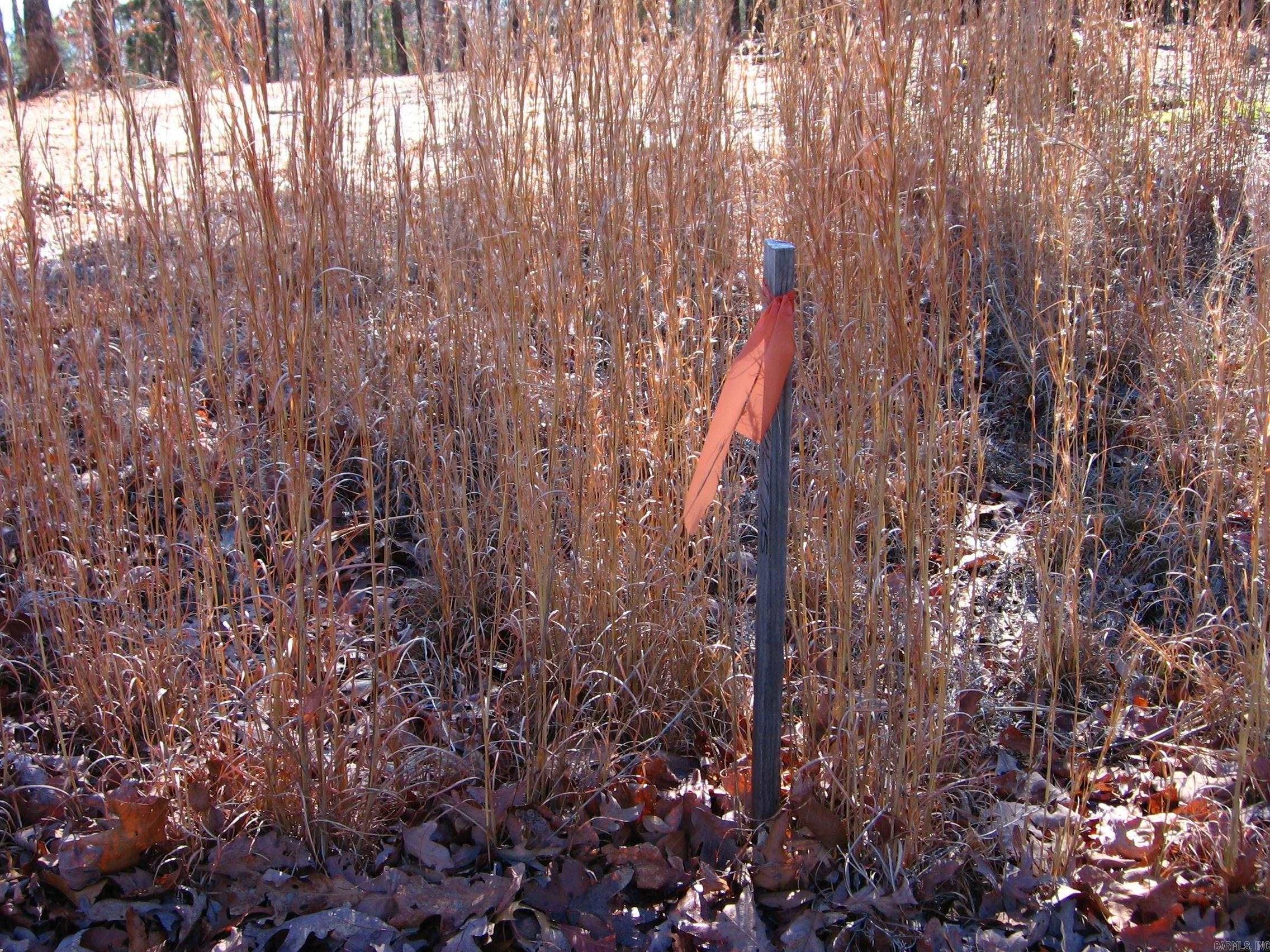135 Osage Point Property Photo 12