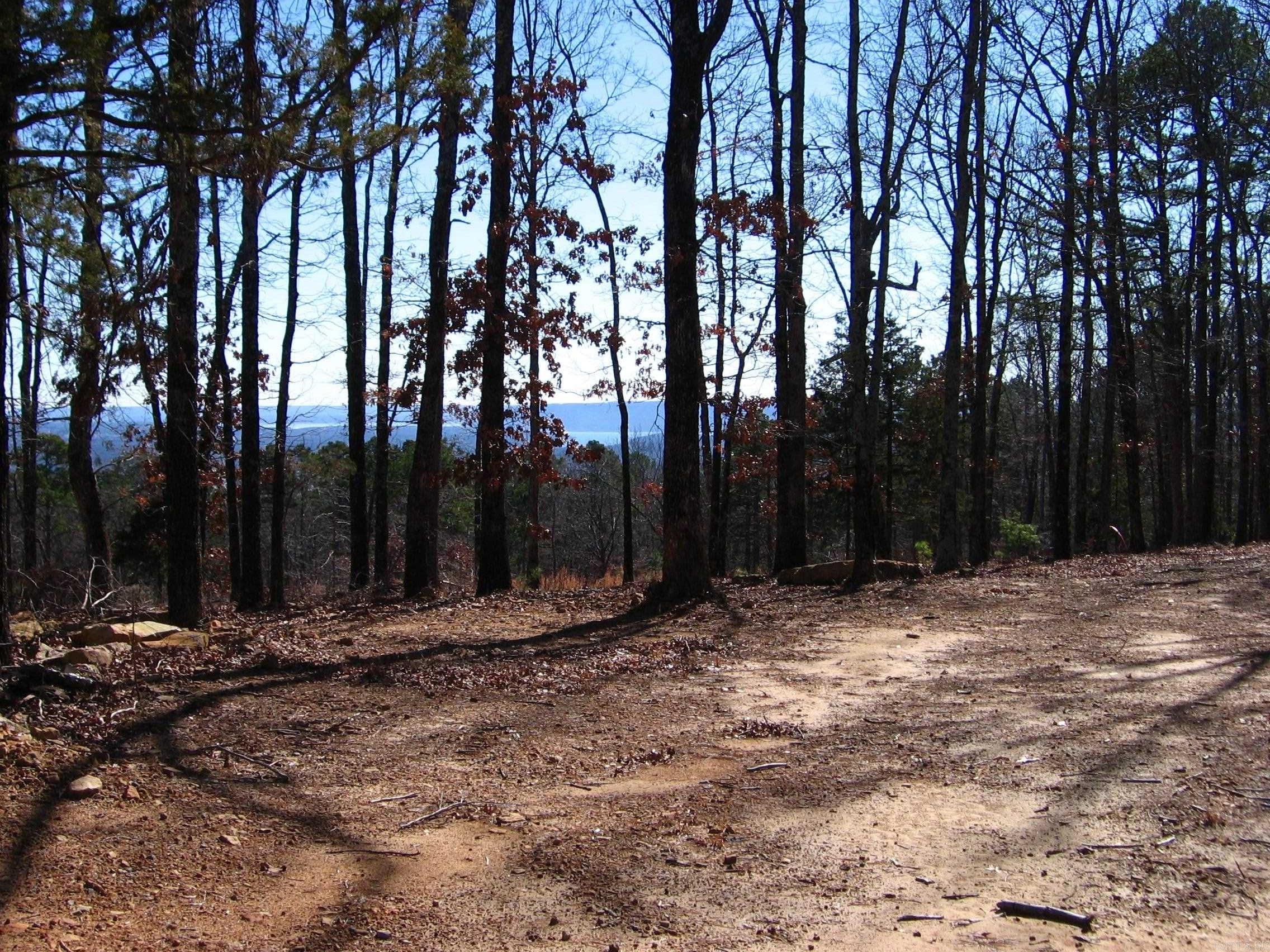 135 Osage Point Property Photo 13