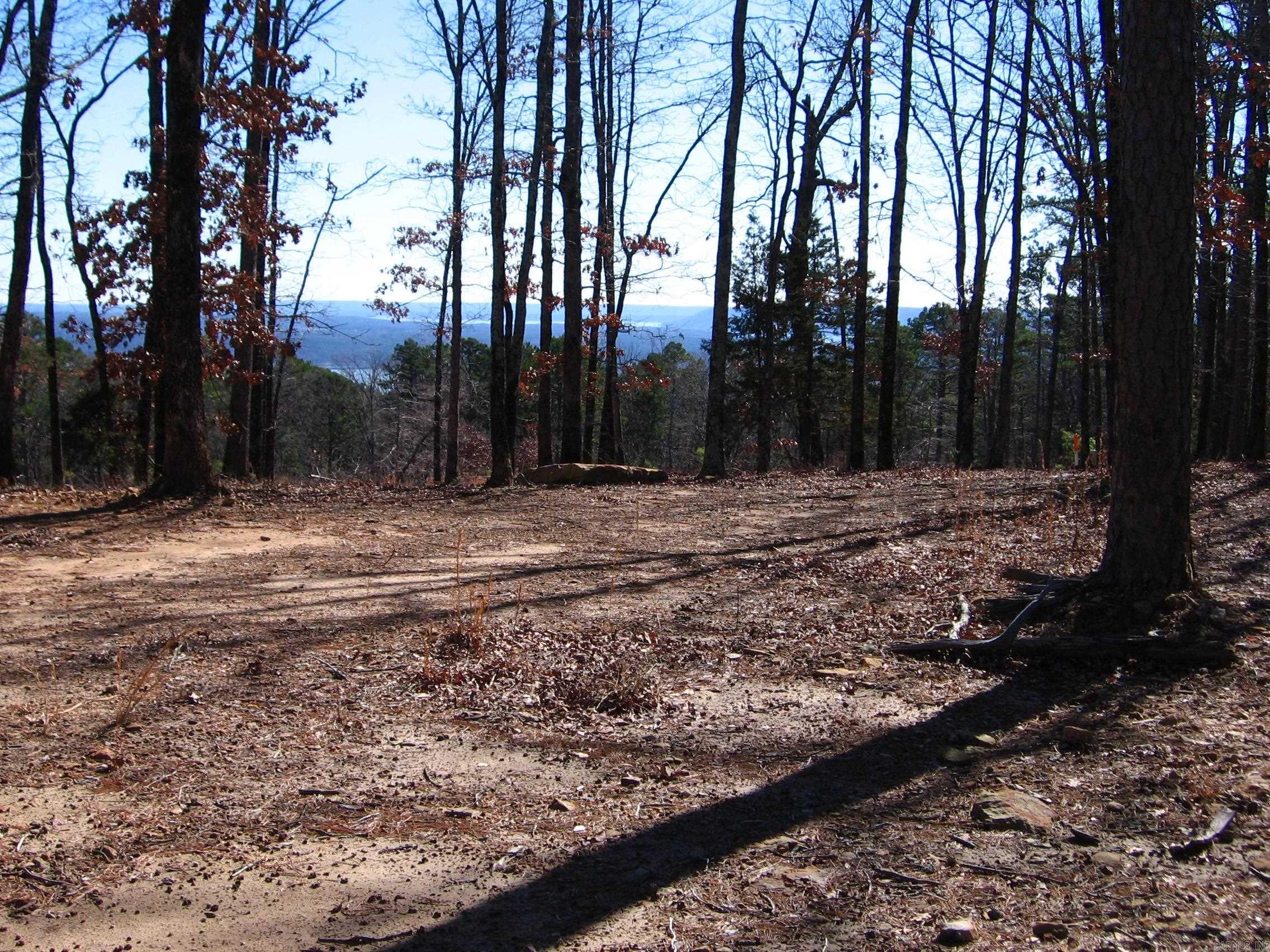 135 Osage Point Property Photo 14