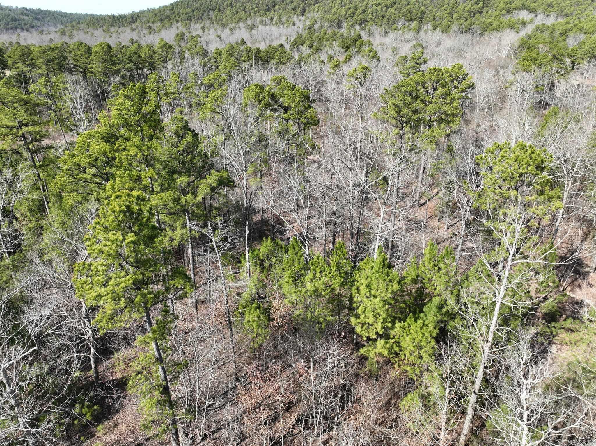 Tract 11 Big Fork Mountain Valley Lane Property Photo 1