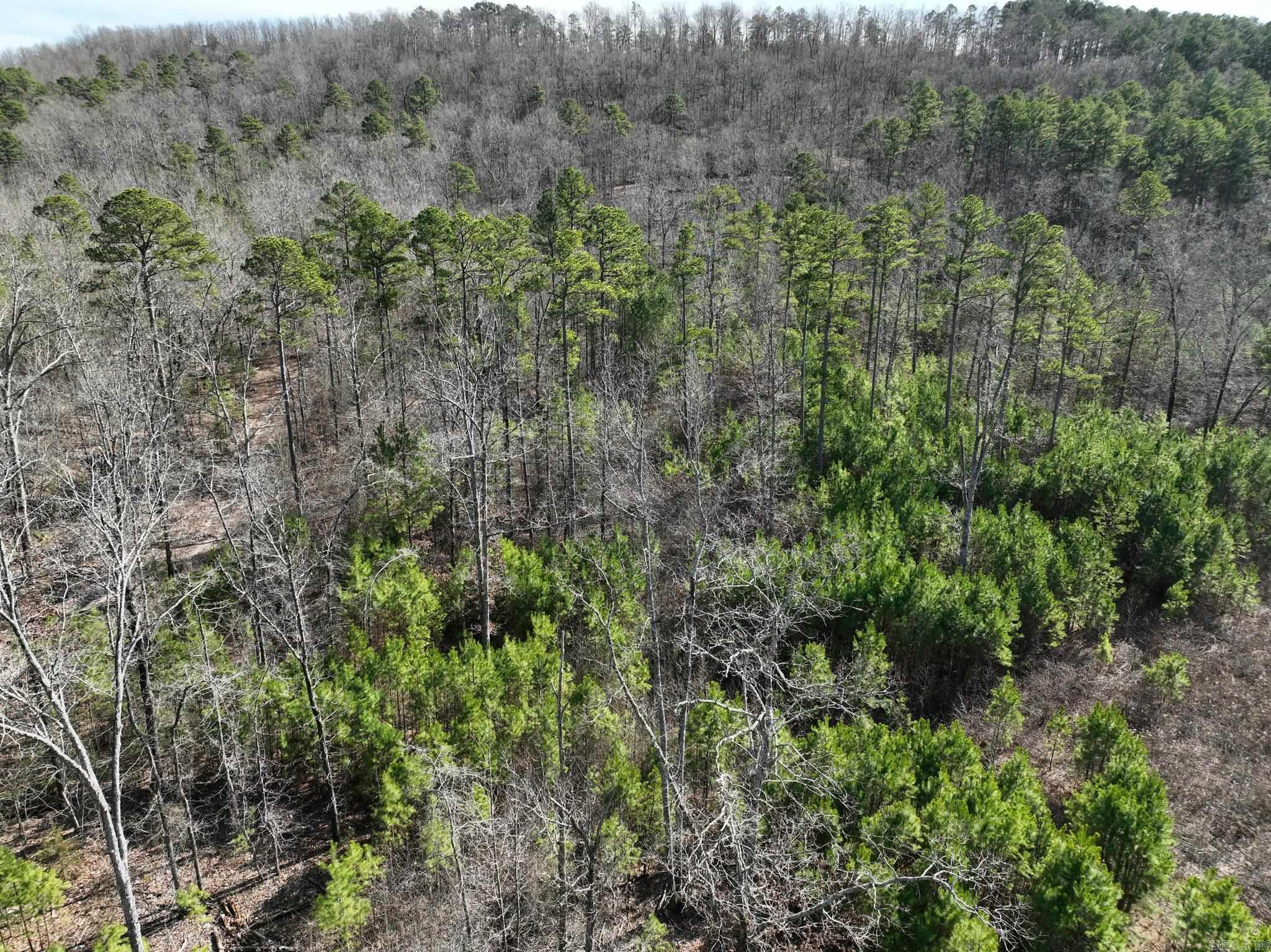 Tract 11 Big Fork Mountain Valley Lane Property Photo 3