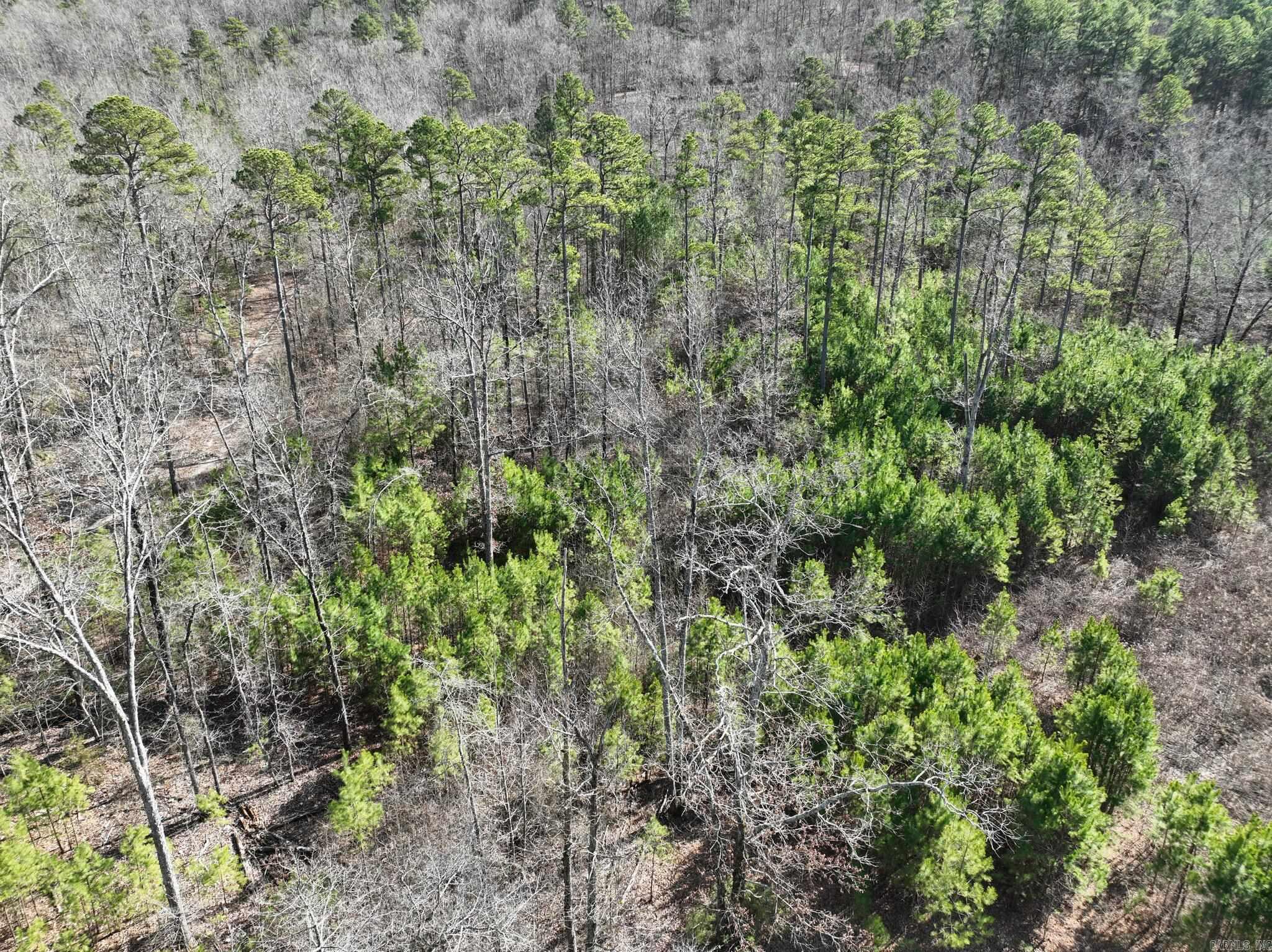 Tract 11 Big Fork Mountain Valley Lane Property Photo 4
