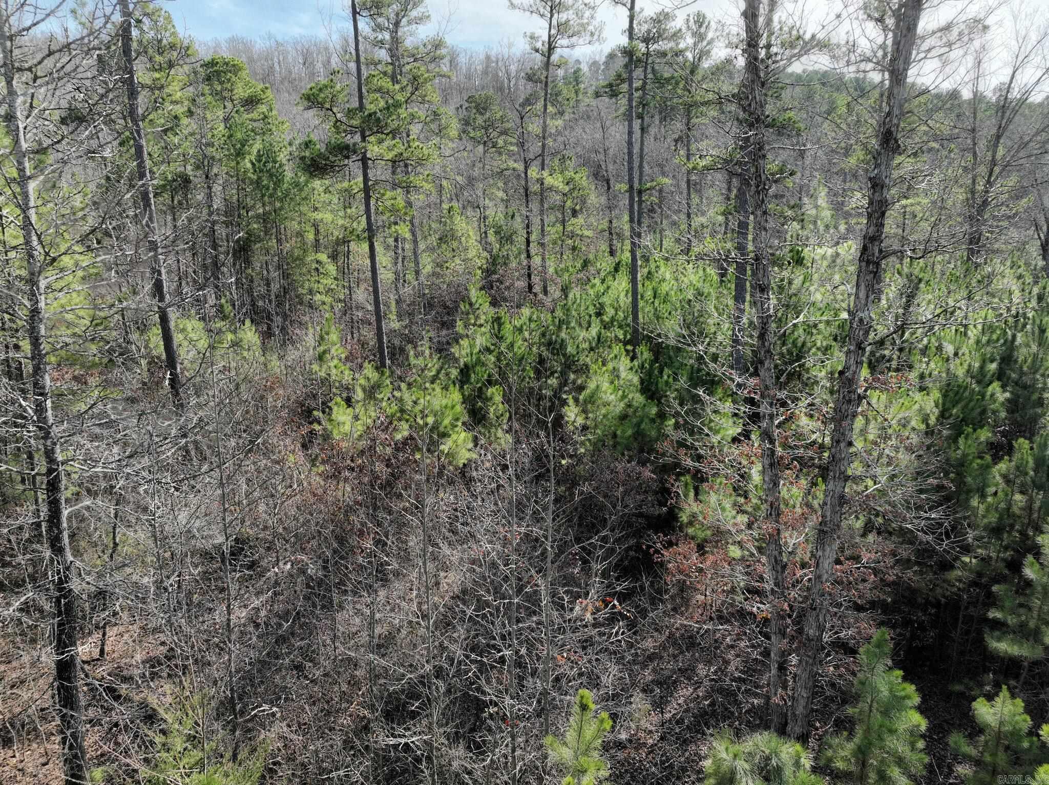 Tract 11 Big Fork Mountain Valley Lane Property Photo 5