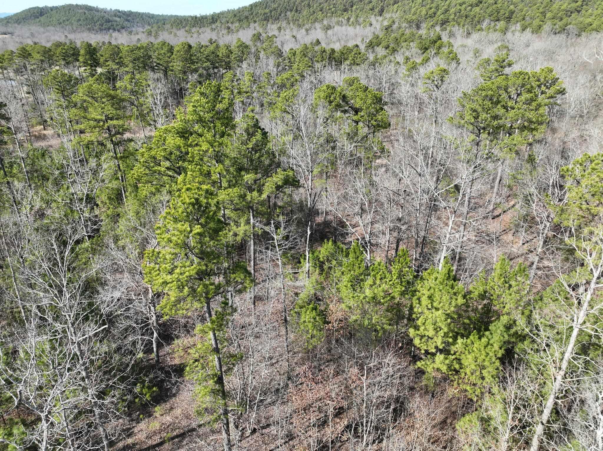 Tract 11 Big Fork Mountain Valley Lane Property Photo 7