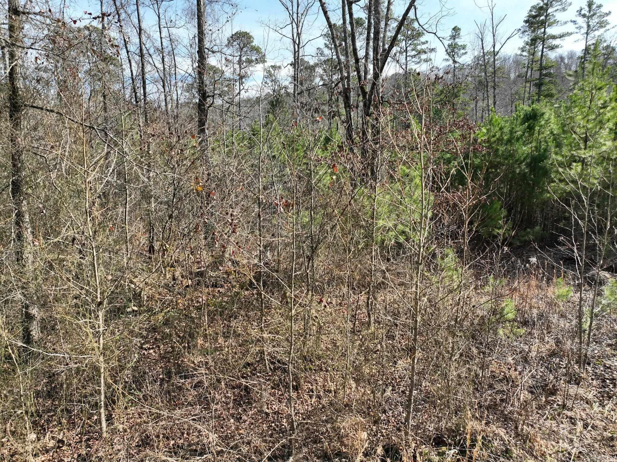 Tract 11 Big Fork Mountain Valley Lane Property Photo 8