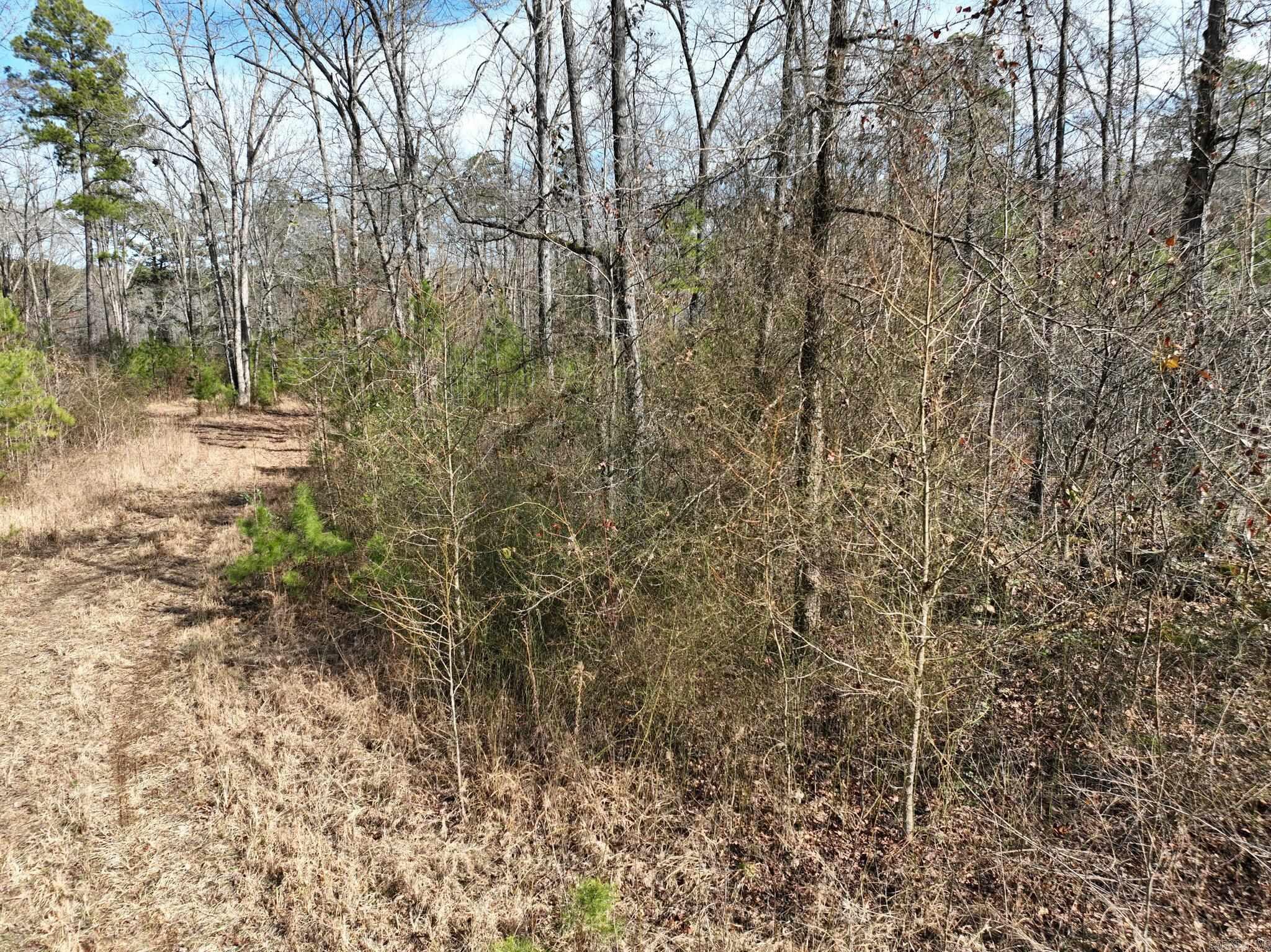 Tract 11 Big Fork Mountain Valley Lane Property Photo 9