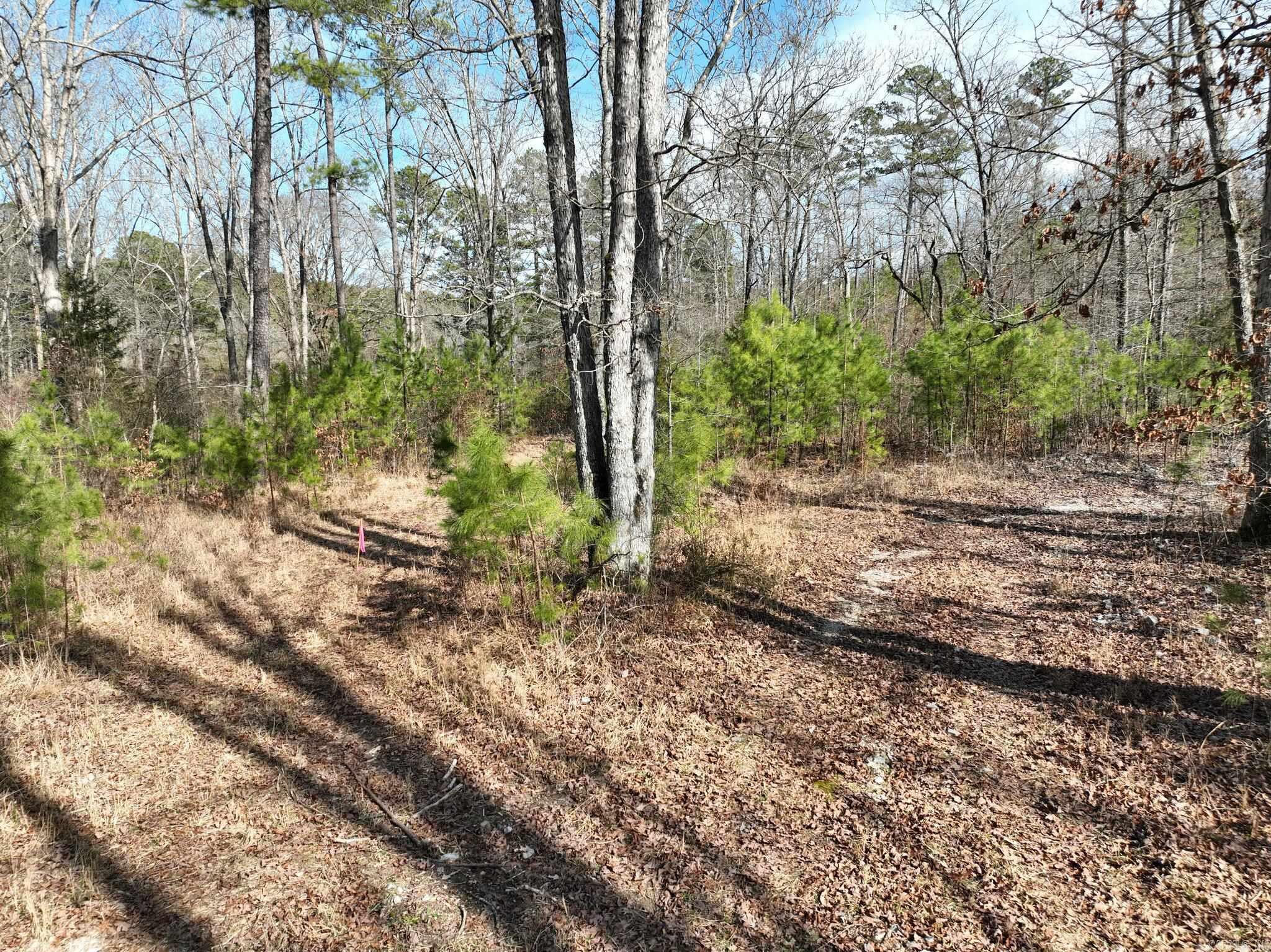Tract 11 Big Fork Mountain Valley Lane Property Photo 11