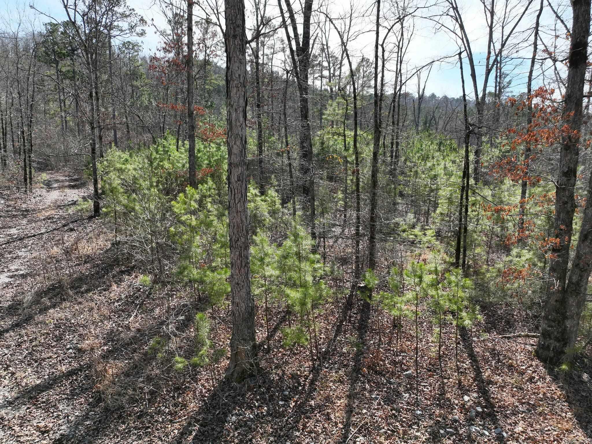 Tract 11 Big Fork Mountain Valley Lane Property Photo 12