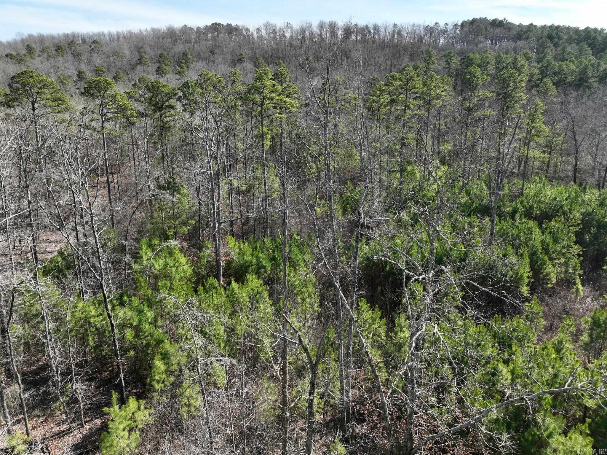 Tract 11 Big Fork Mountain Valley Lane Property Photo 13