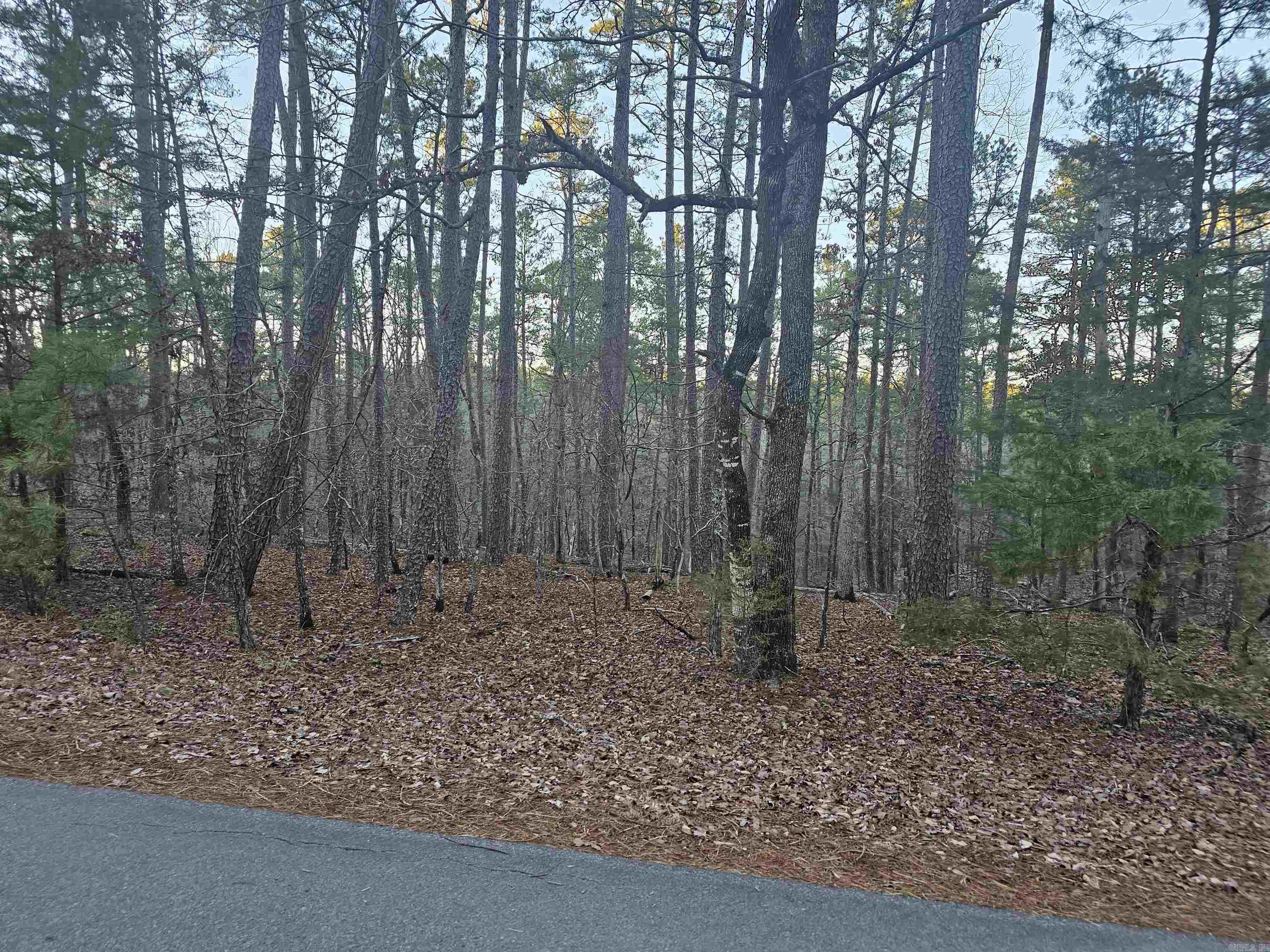 82 Biarritz Way Property Photo