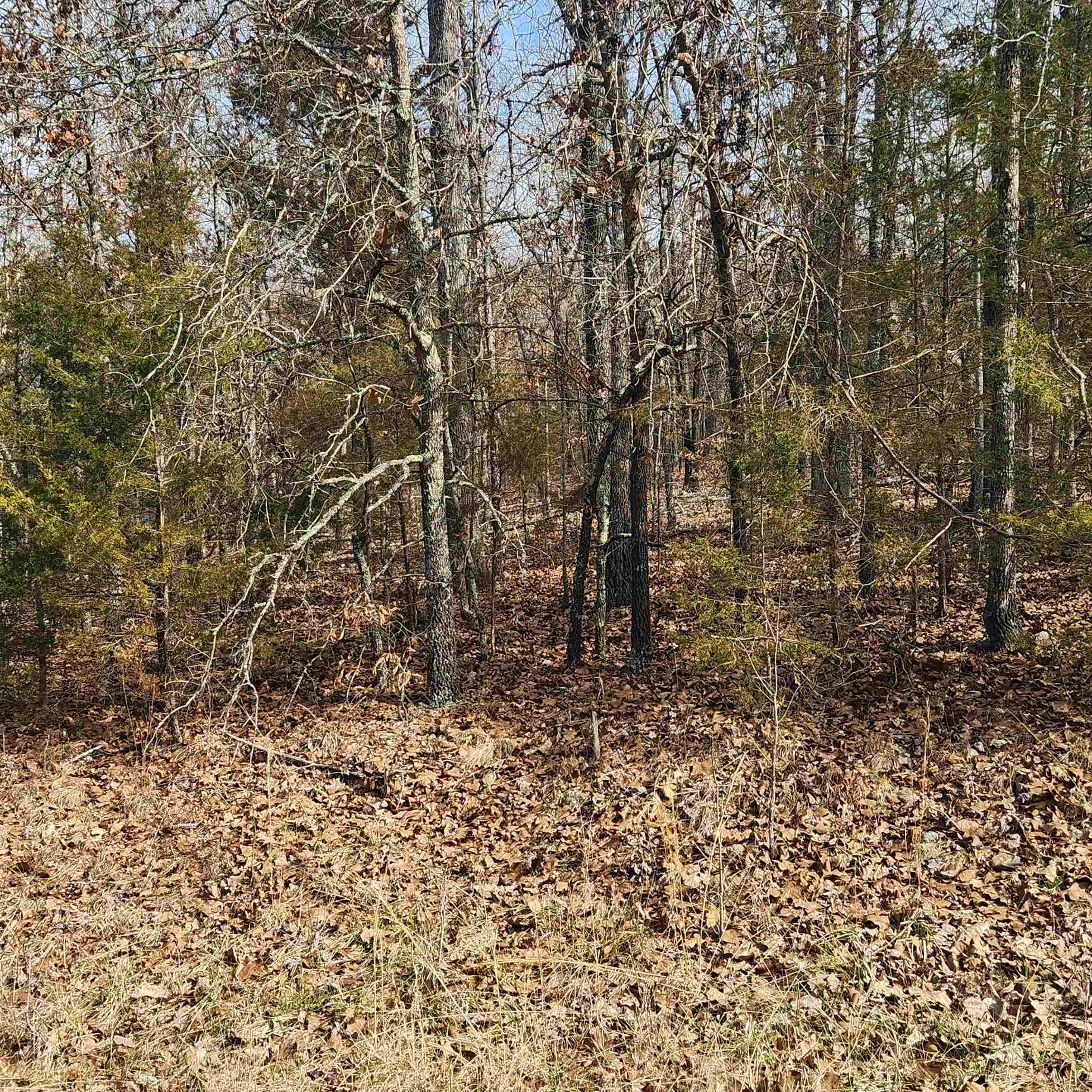 L19 B02 Awi Trail Property Photo 1